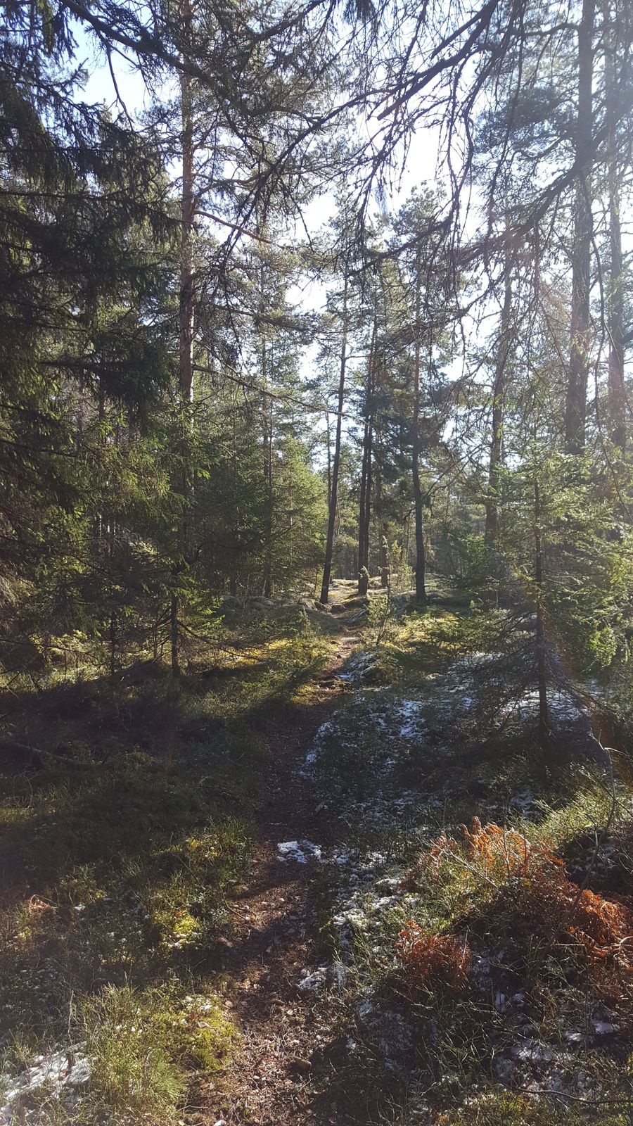 20170417_090638.jpg