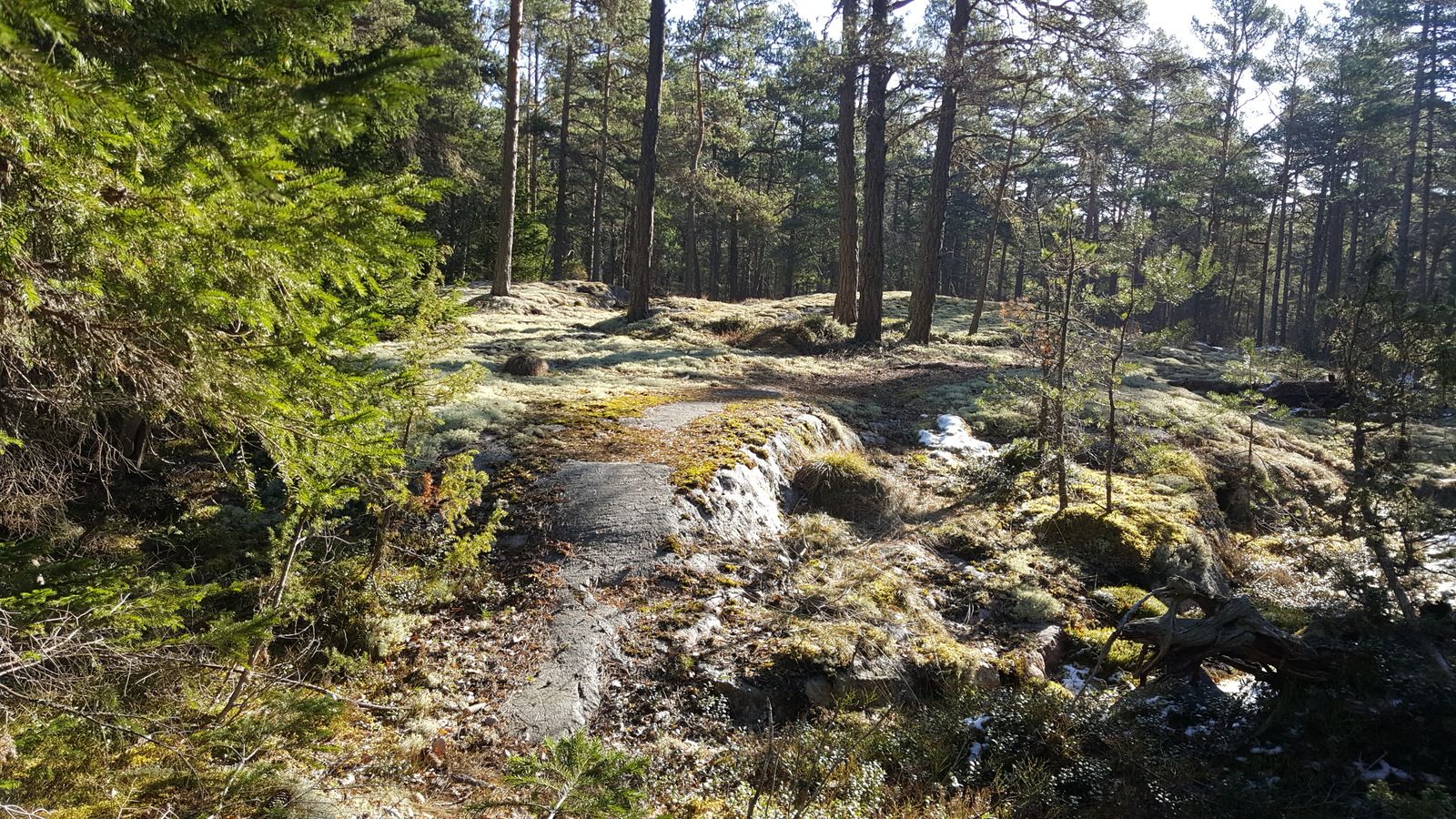 20170417_090730.jpg