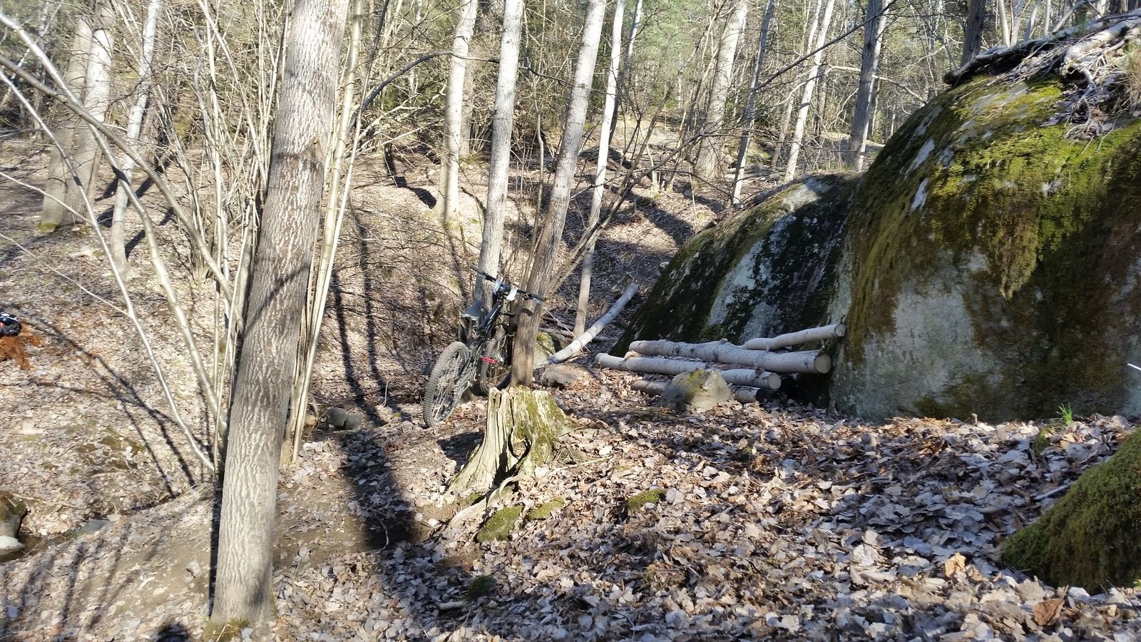 20170501_165959.jpg