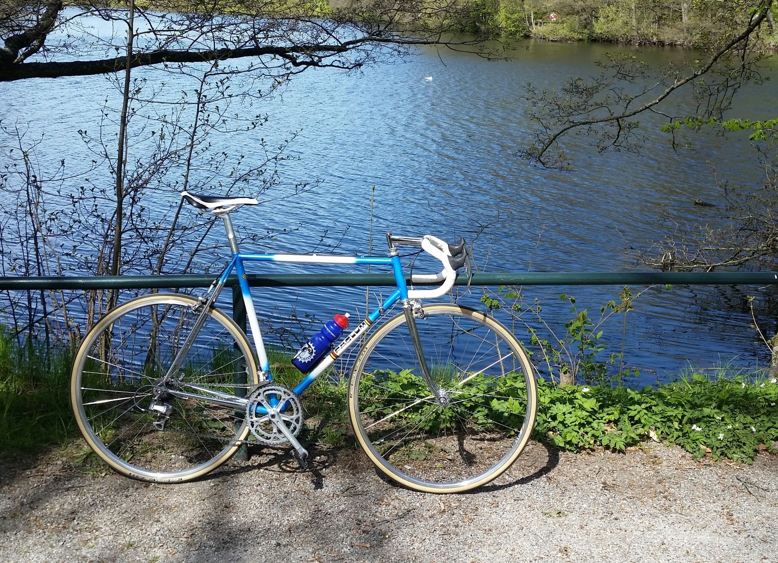 20170513_113915-1.jpg