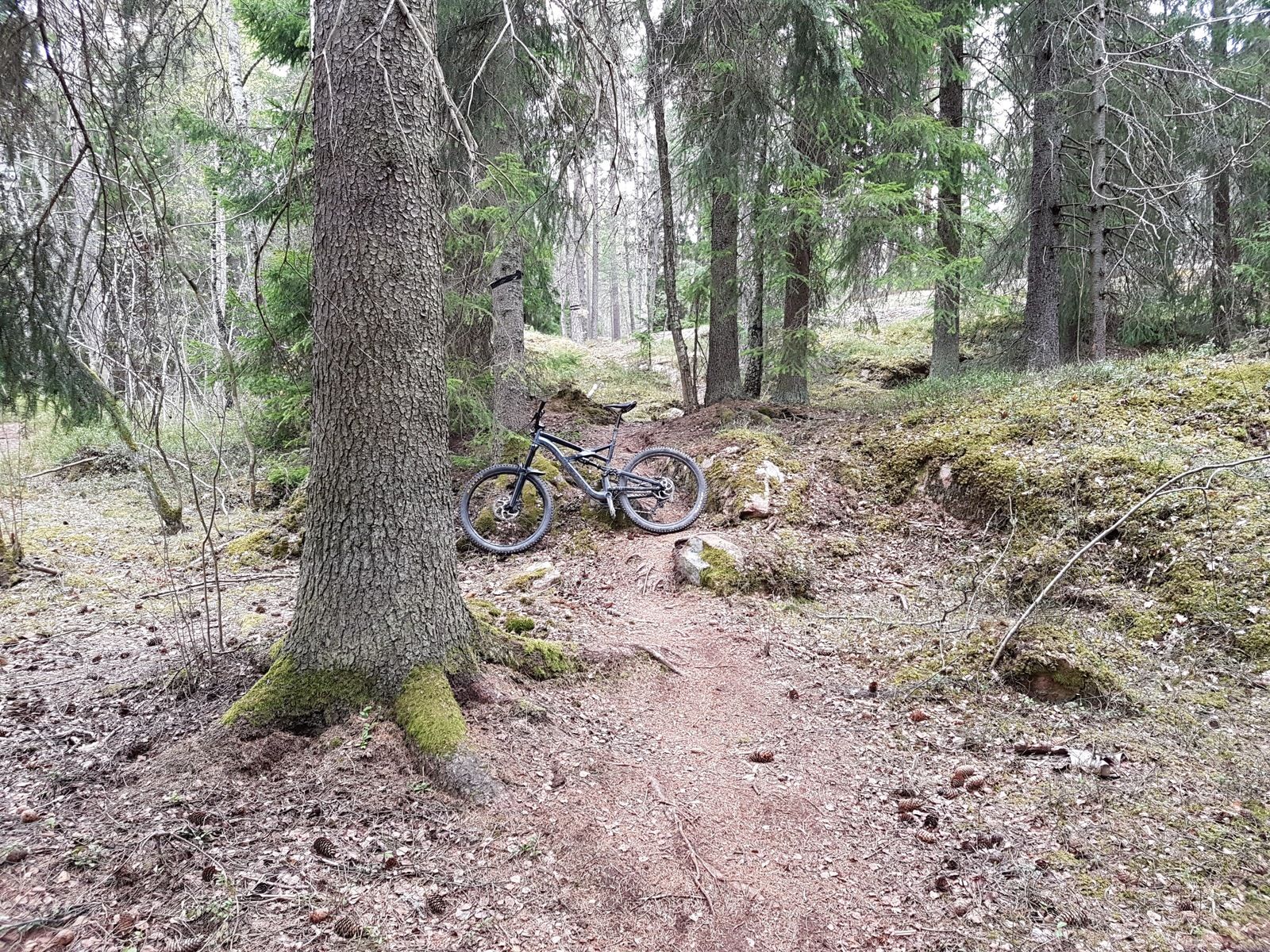 20170514_080025.jpg