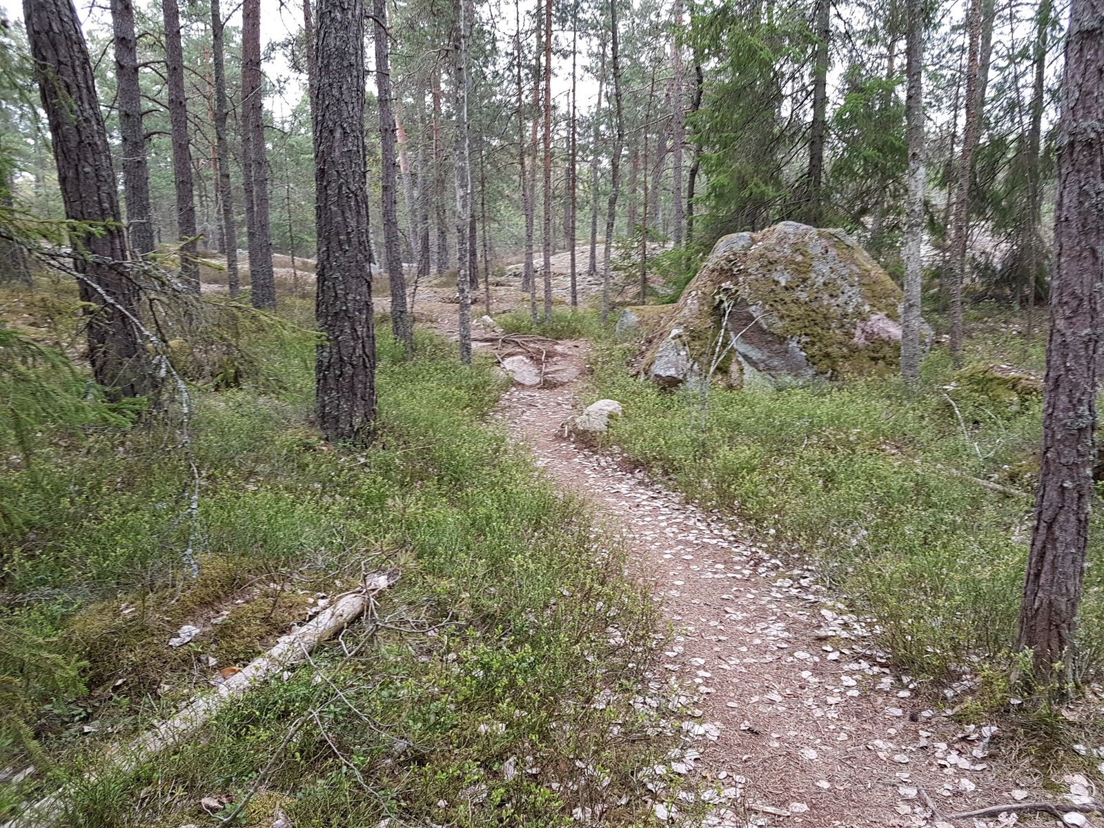 20170514_080518.jpg