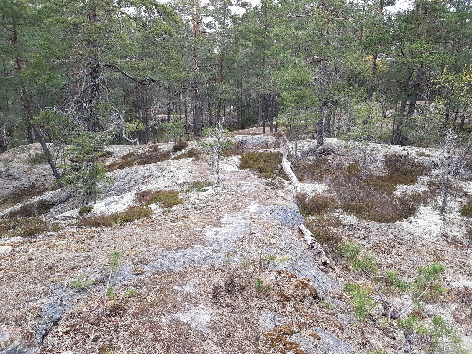 20170514_080737.jpg