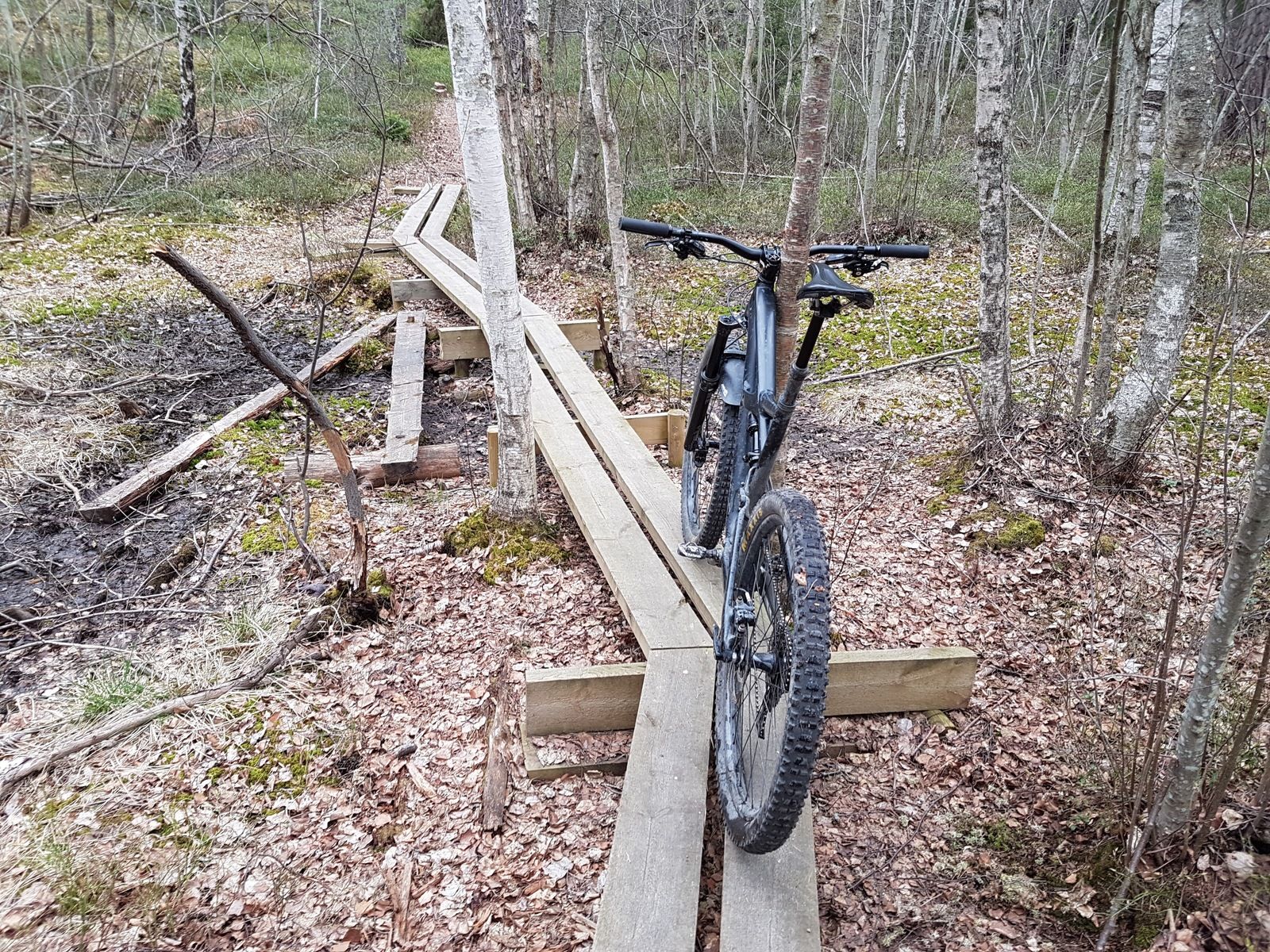 20170514_082237.jpg