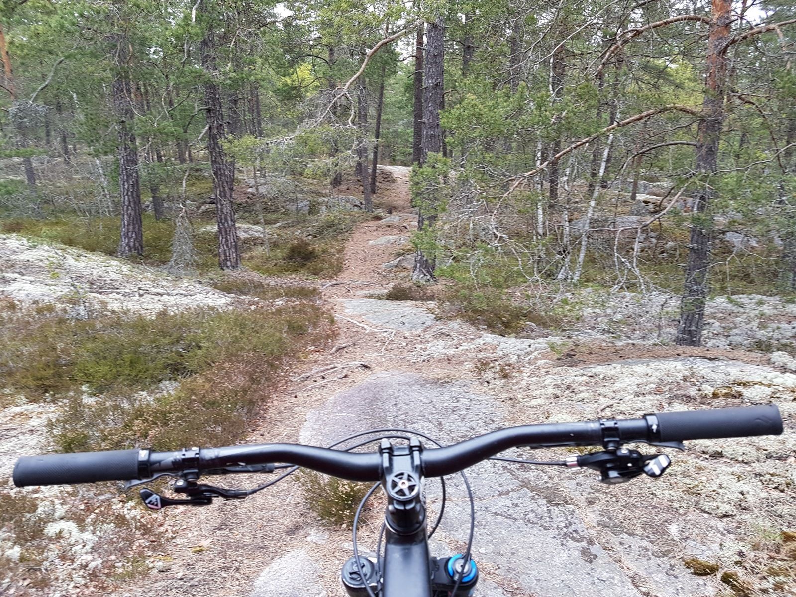 20170514_082808.jpg