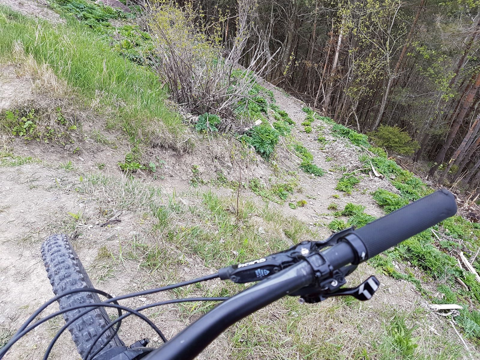 20170514_101412.jpg