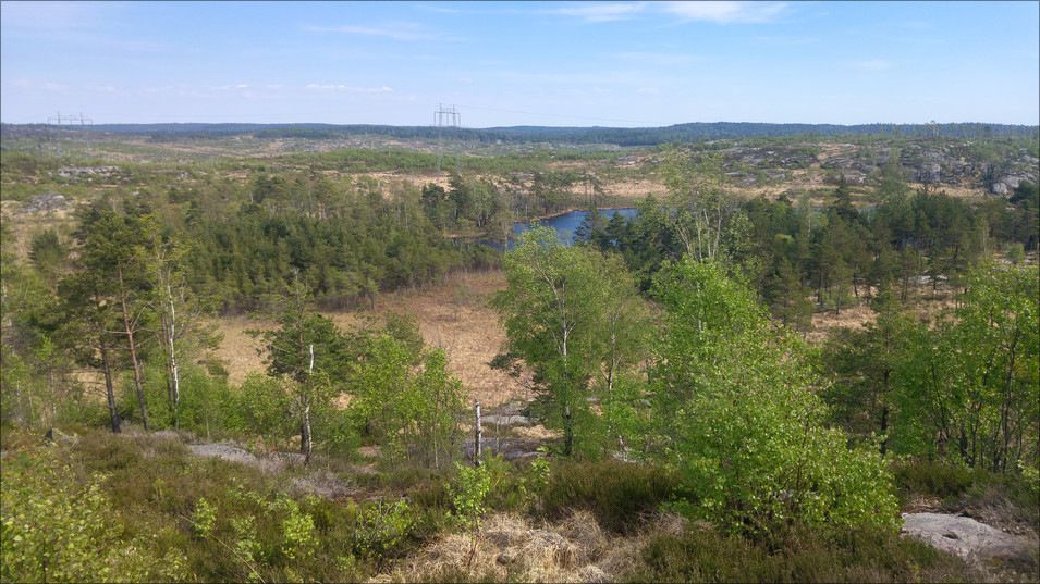 20170518_145607_HDR.jpg