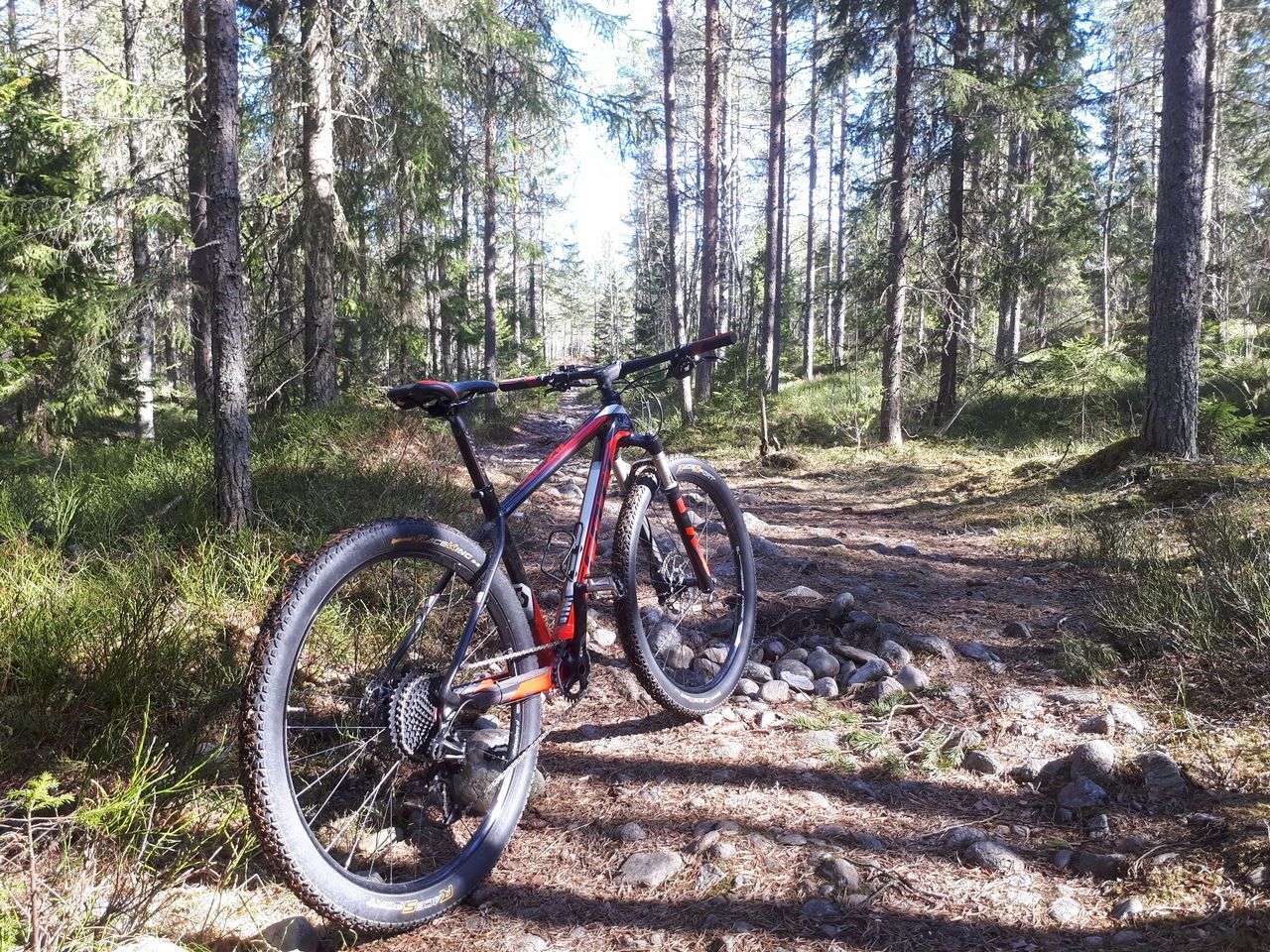 20170520_154646_2.jpg