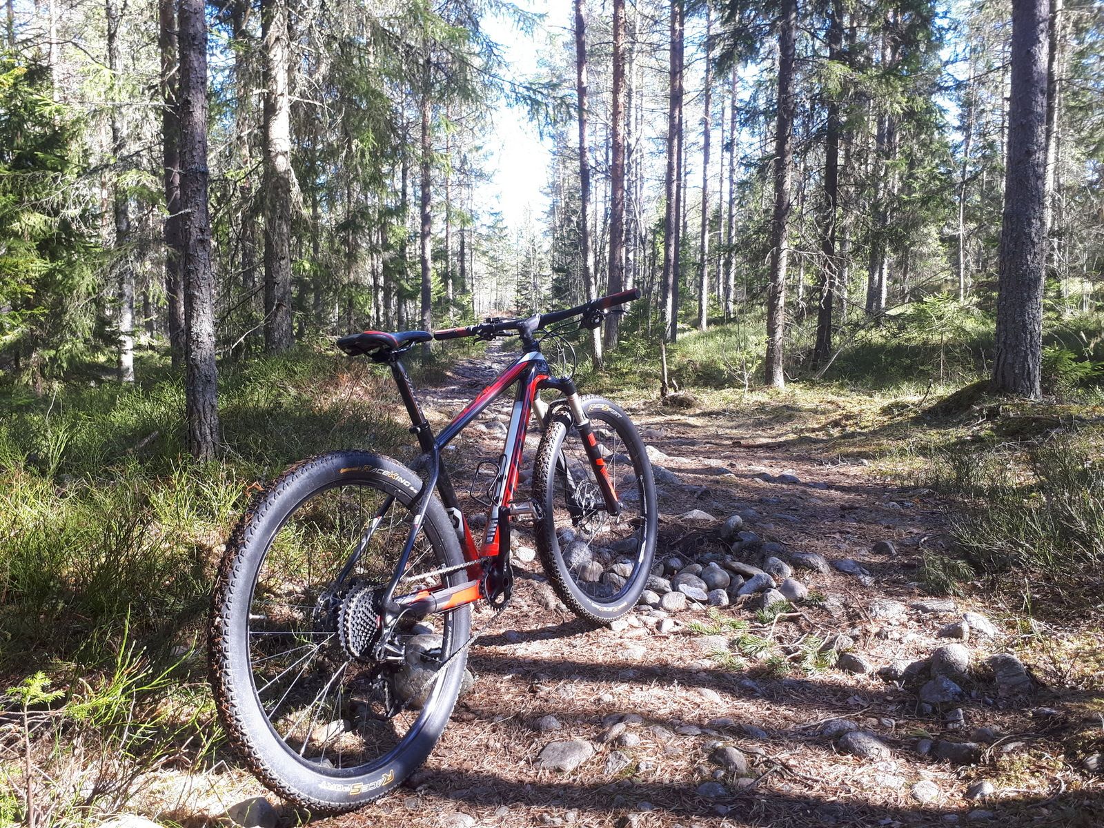 20170520_154646_3.jpg
