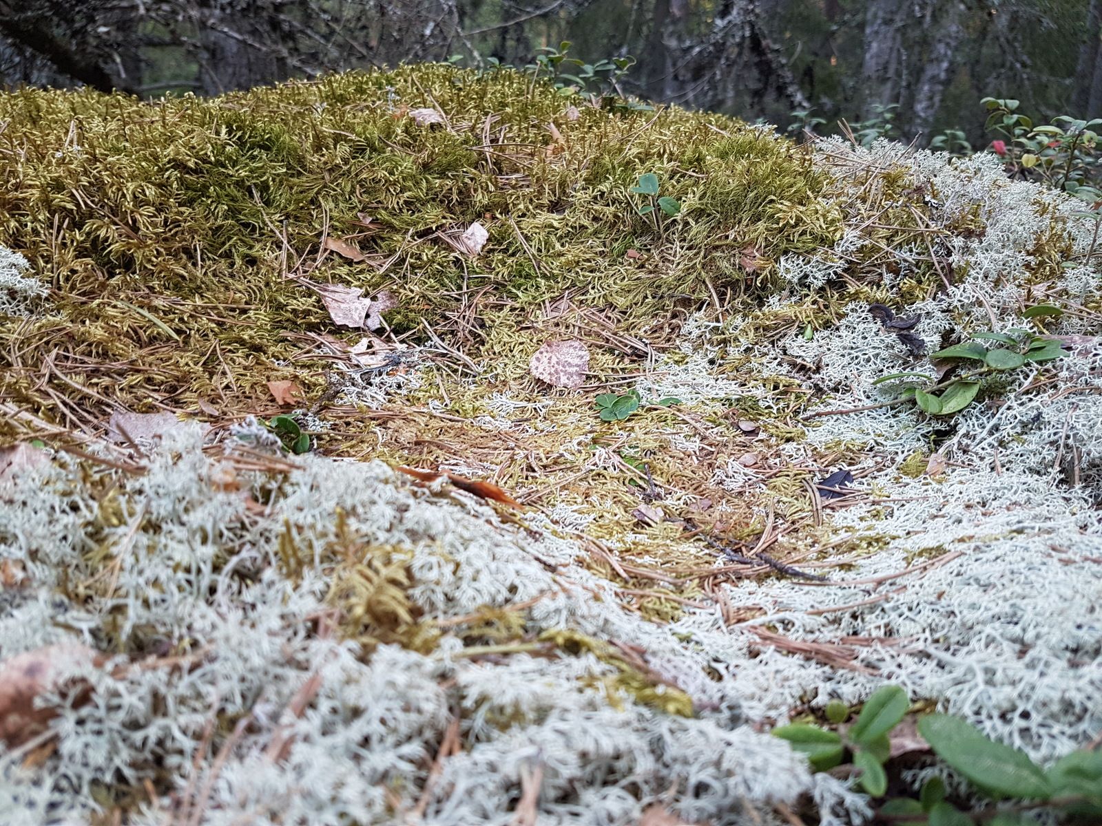 20170524_194734.jpg