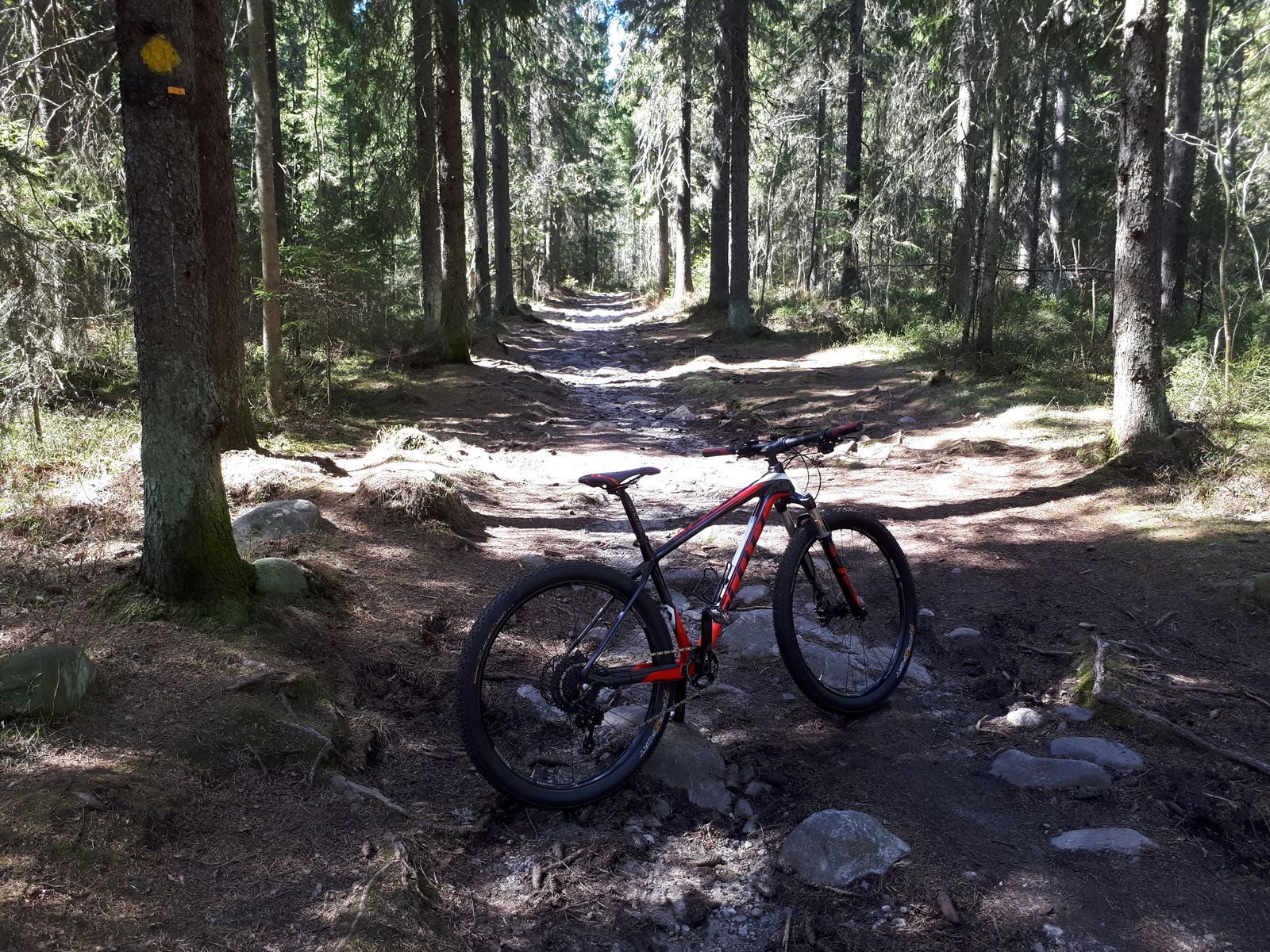 20170529_113208_2.jpg