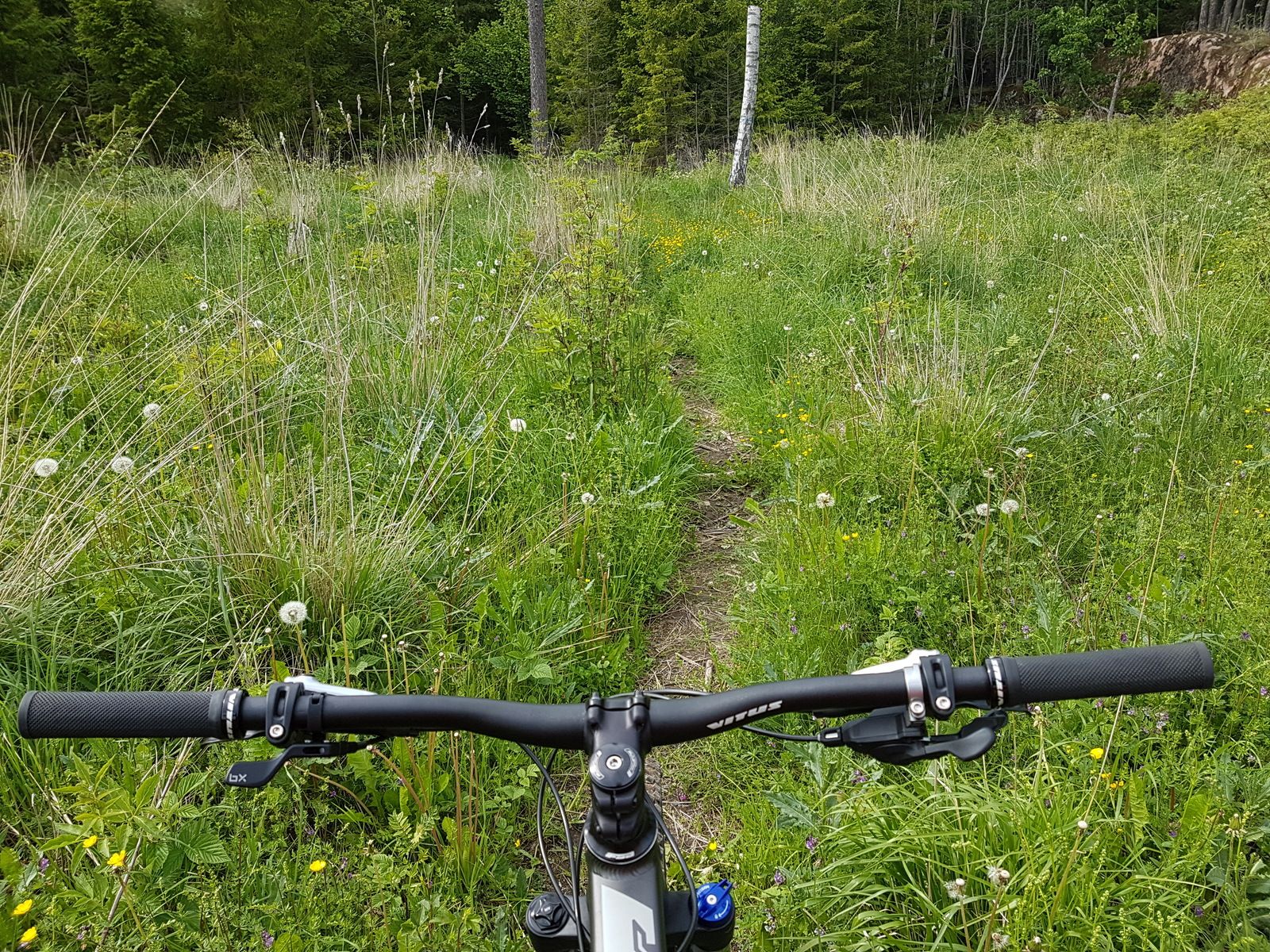 20170611_152107.jpg