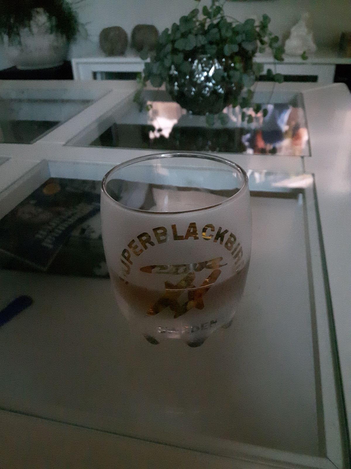 20170624_221158.jpg