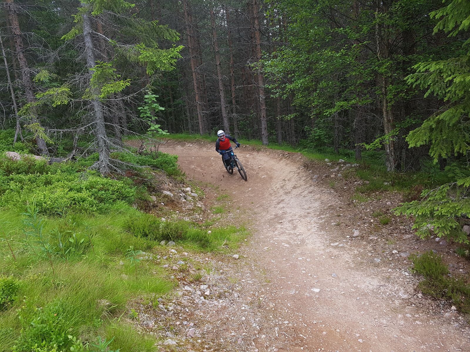 20170708_154845.jpg