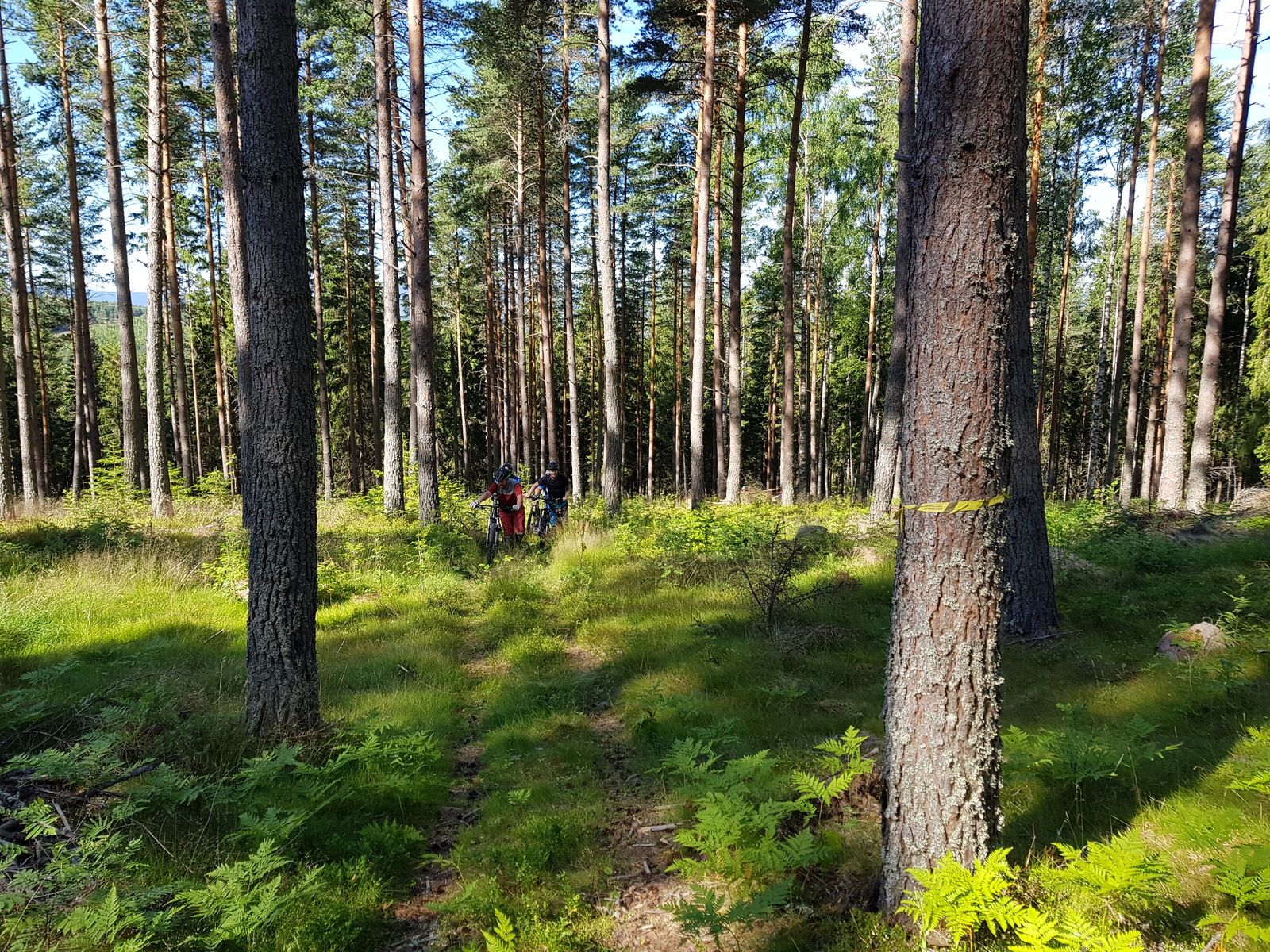 20170722_095910.jpg