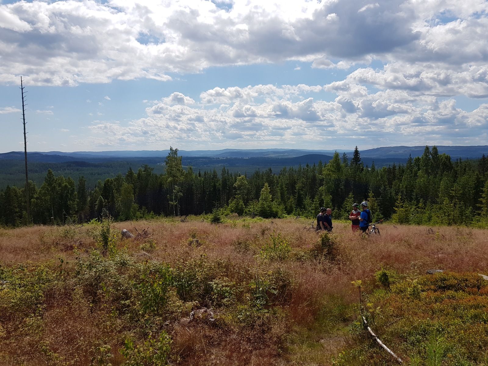 20170722_122105.jpg