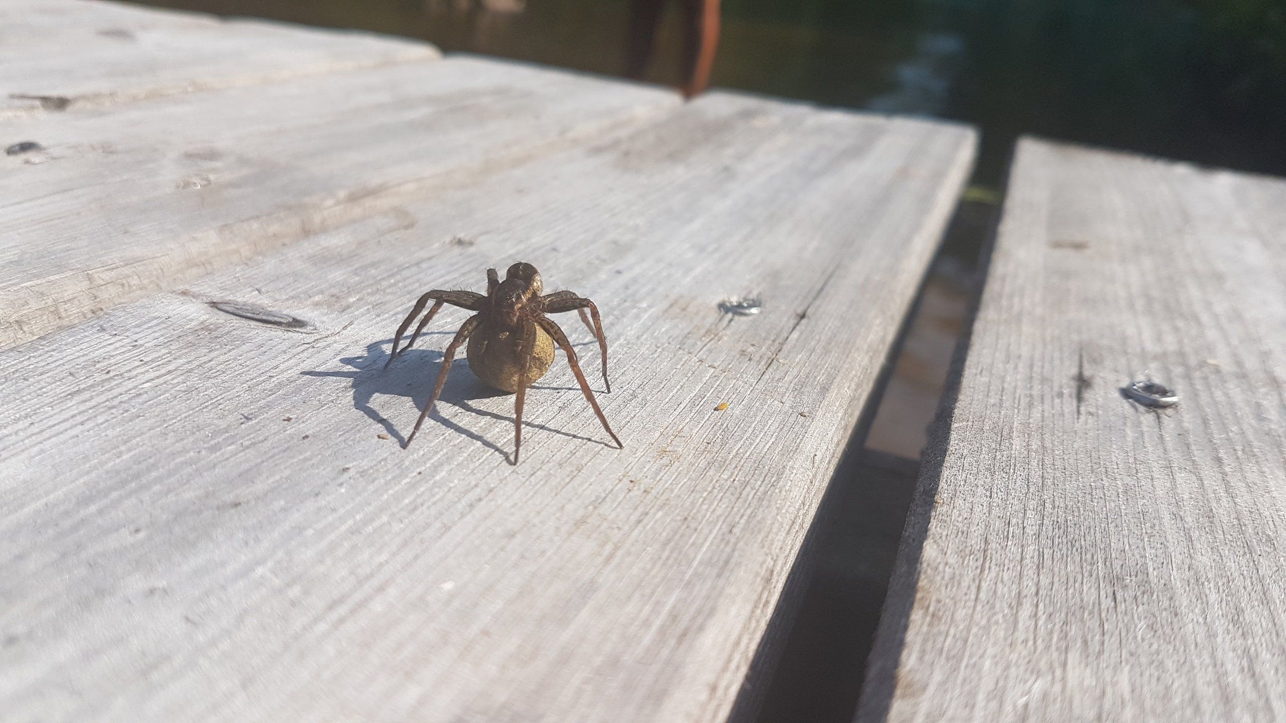 20170726_142736.jpg