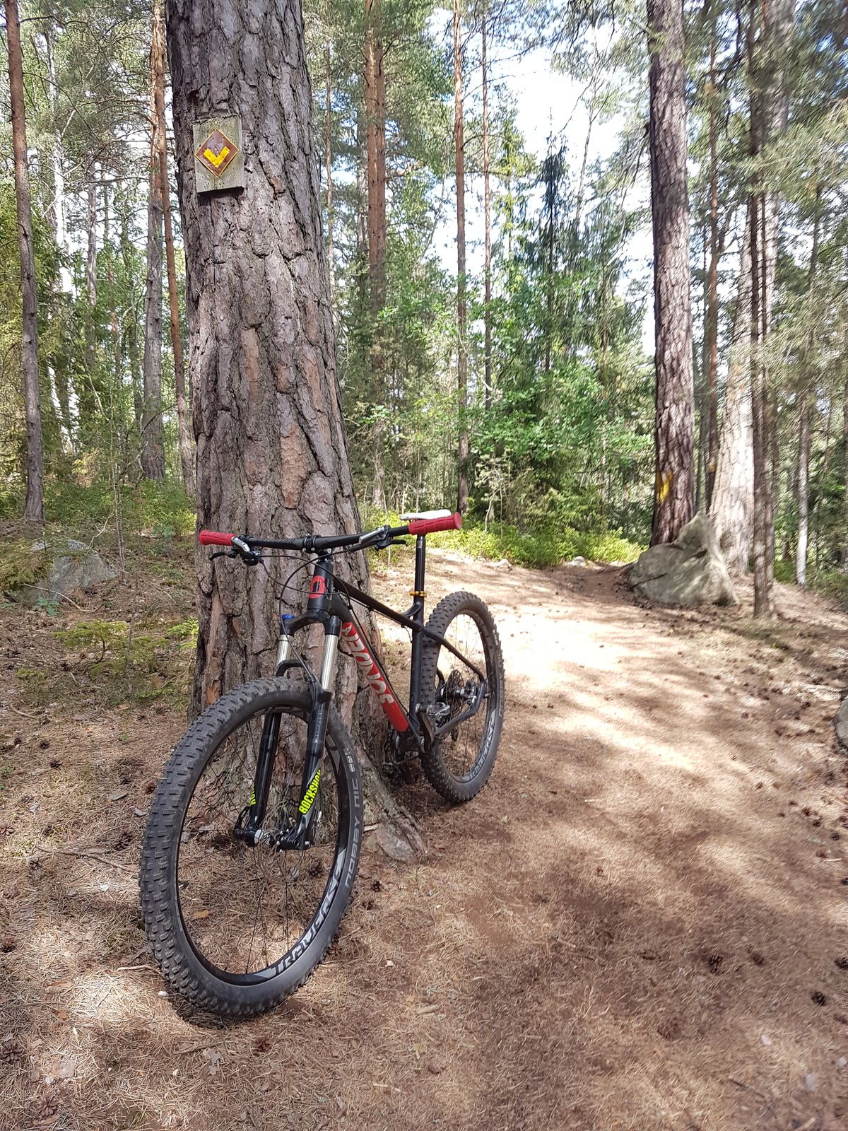 20170727_120914.jpg