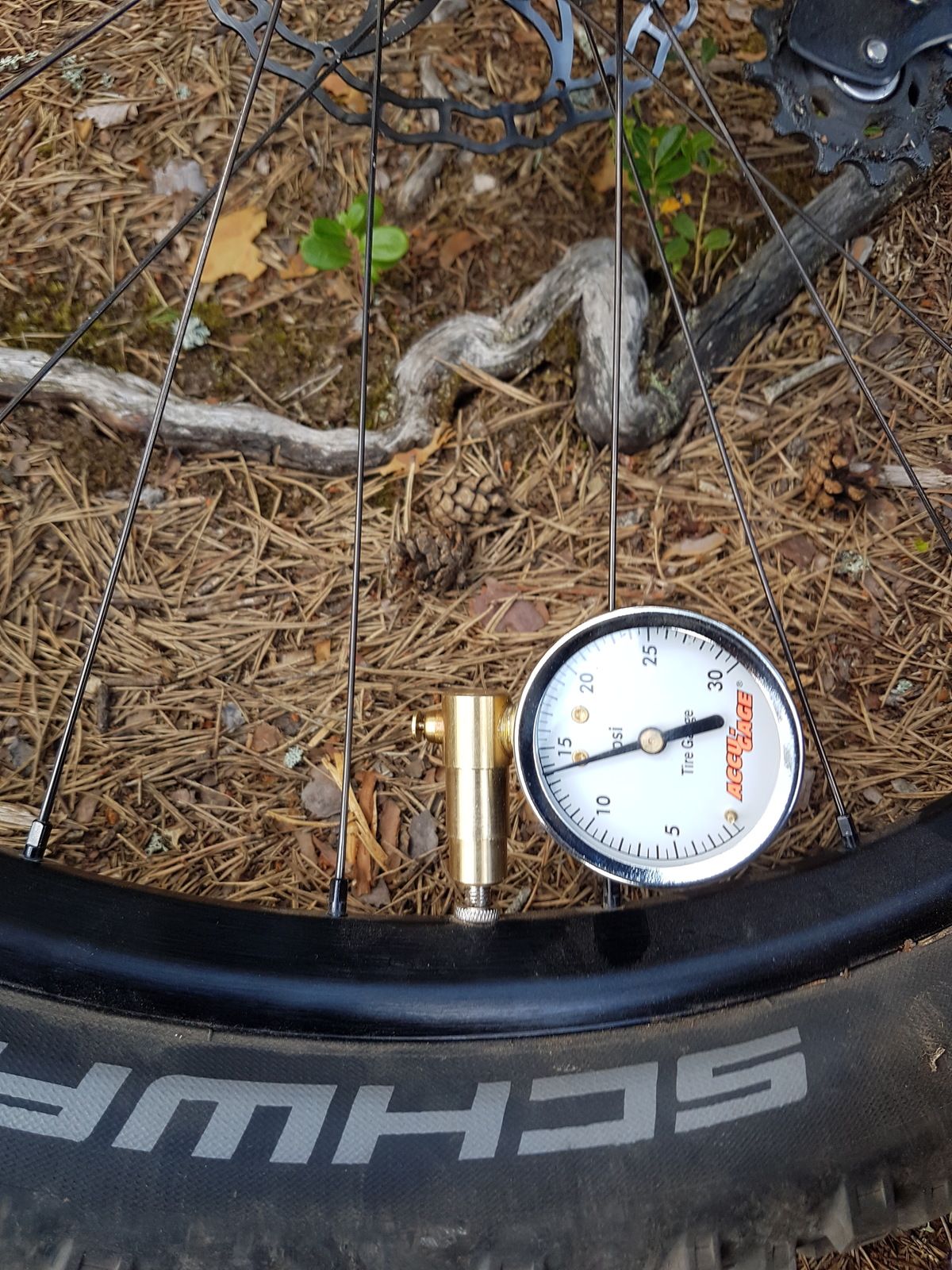 20170727_122238.jpg