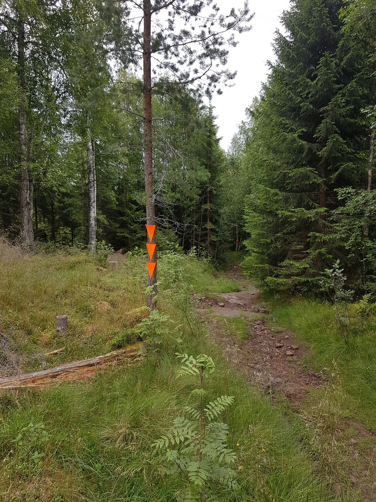 20170728_104227.jpg