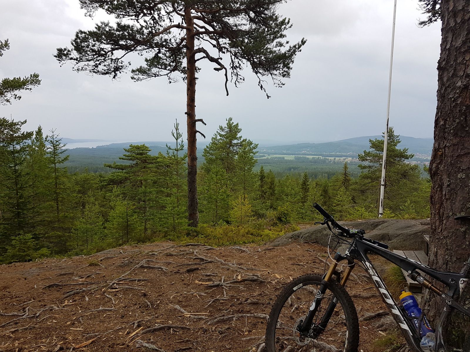 20170728_113633.jpg