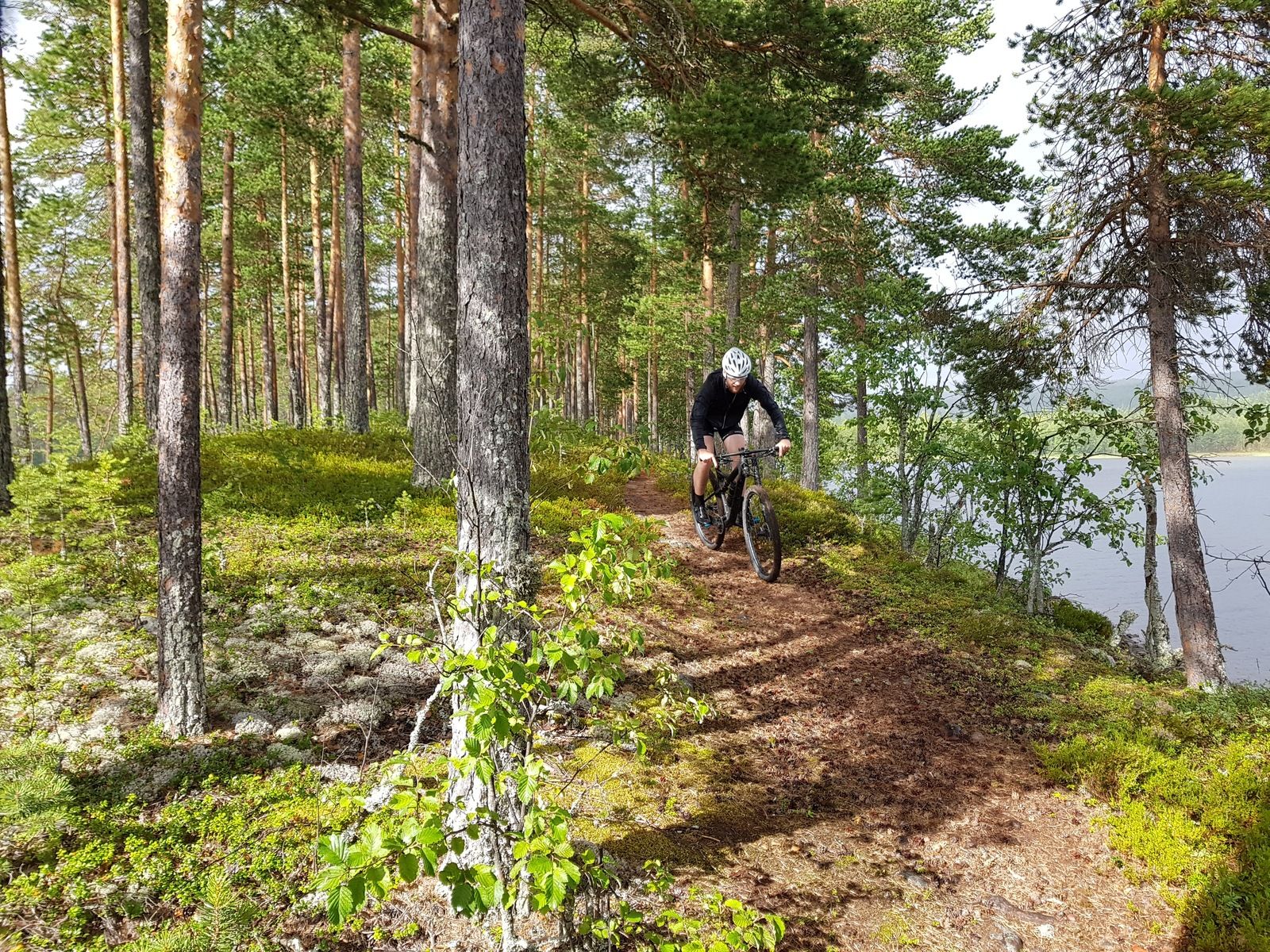 20170729_154705.jpg