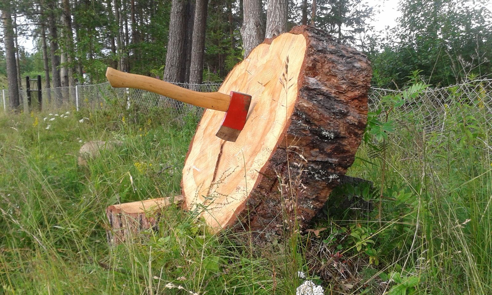 20170731_1907242.jpg