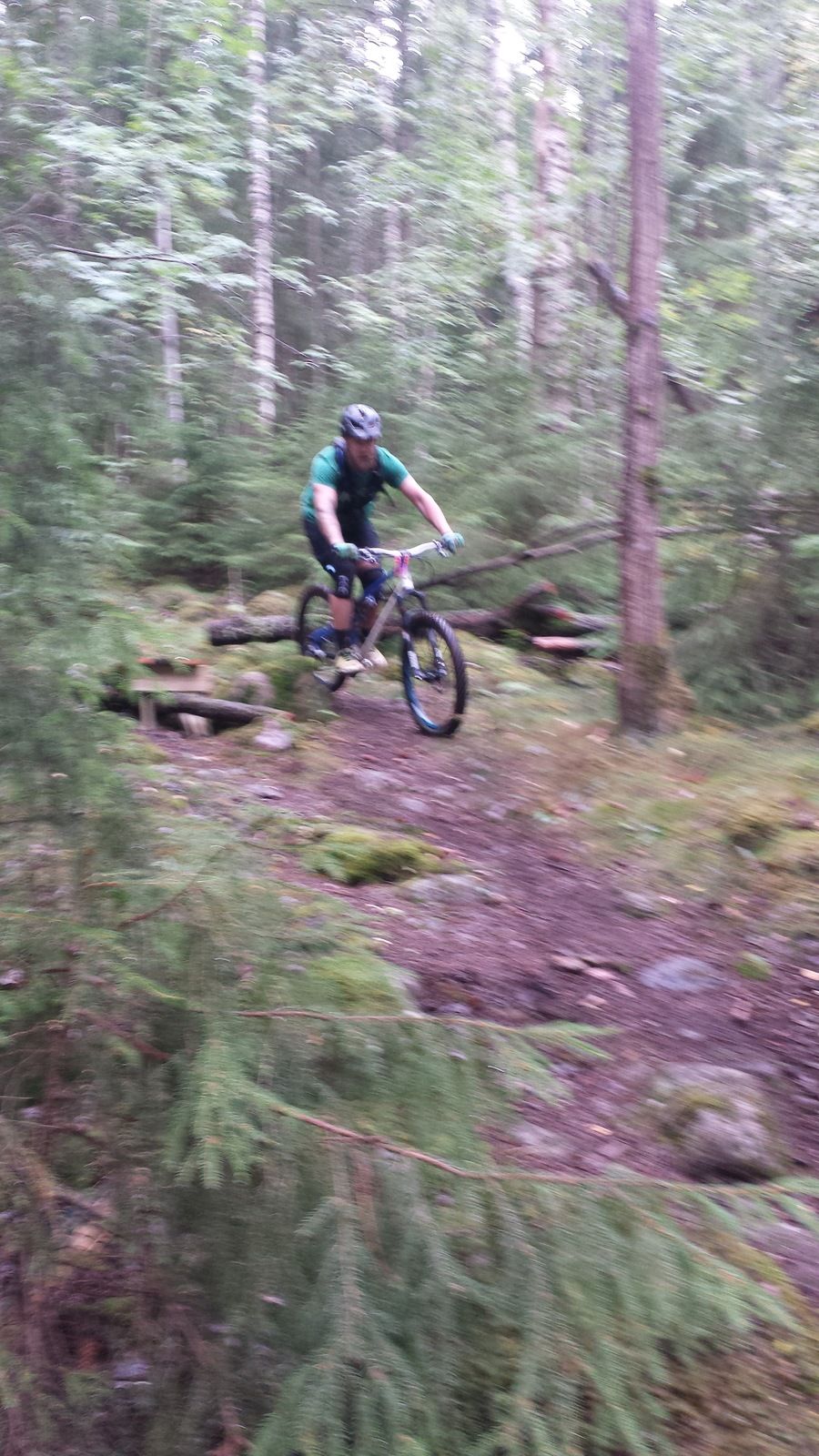 20170805_144040.jpg