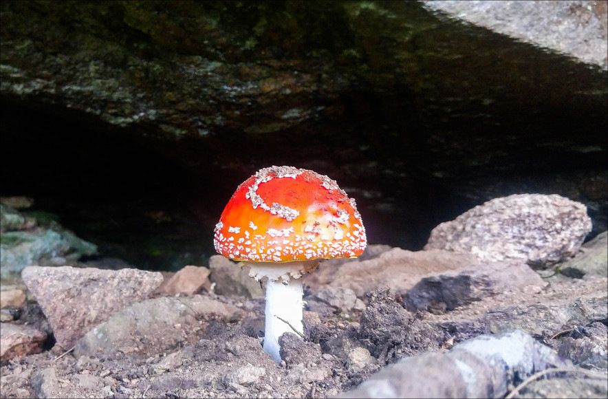 20170810_163358_HDR.jpg