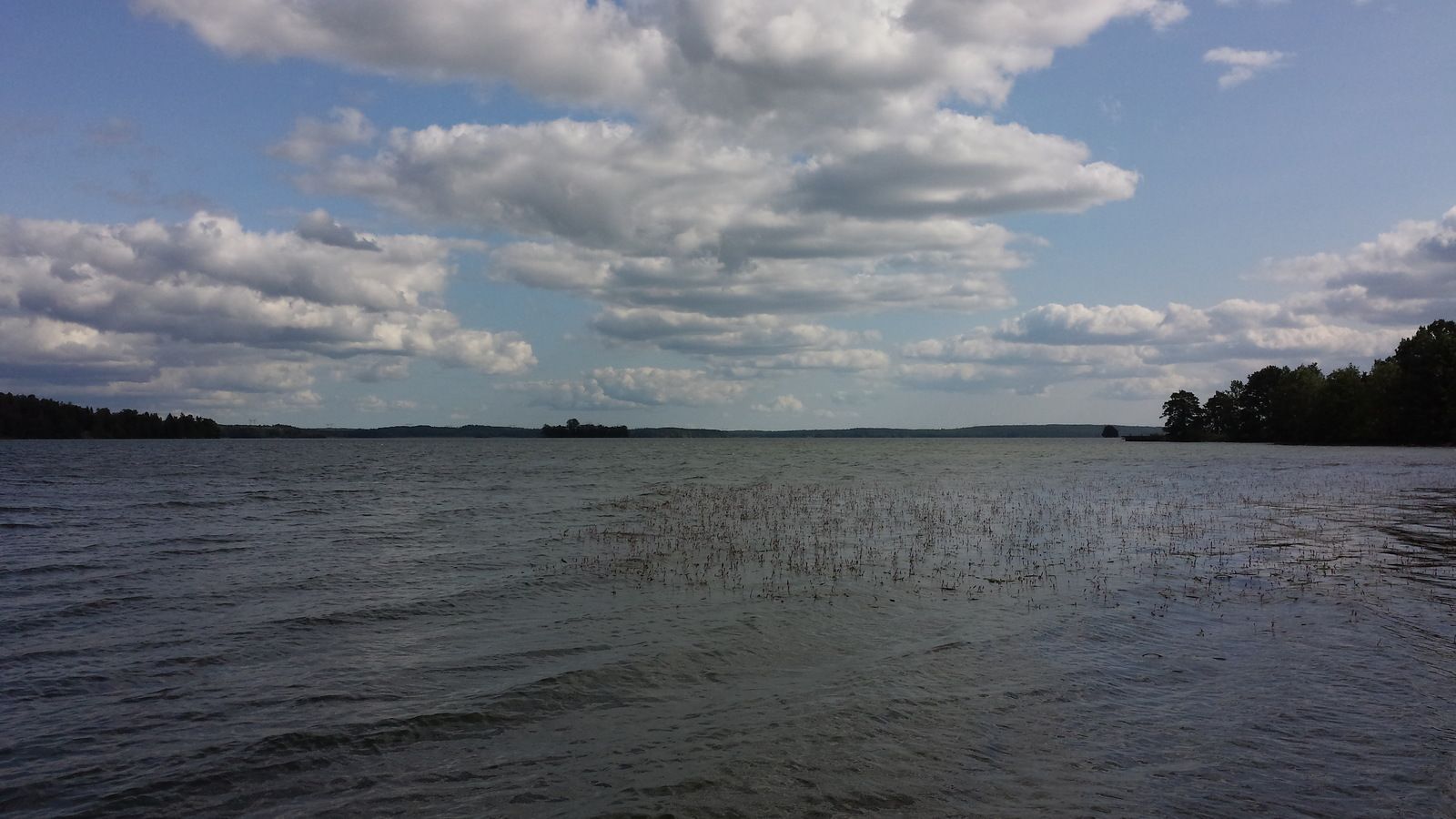 20170827_141611.jpg