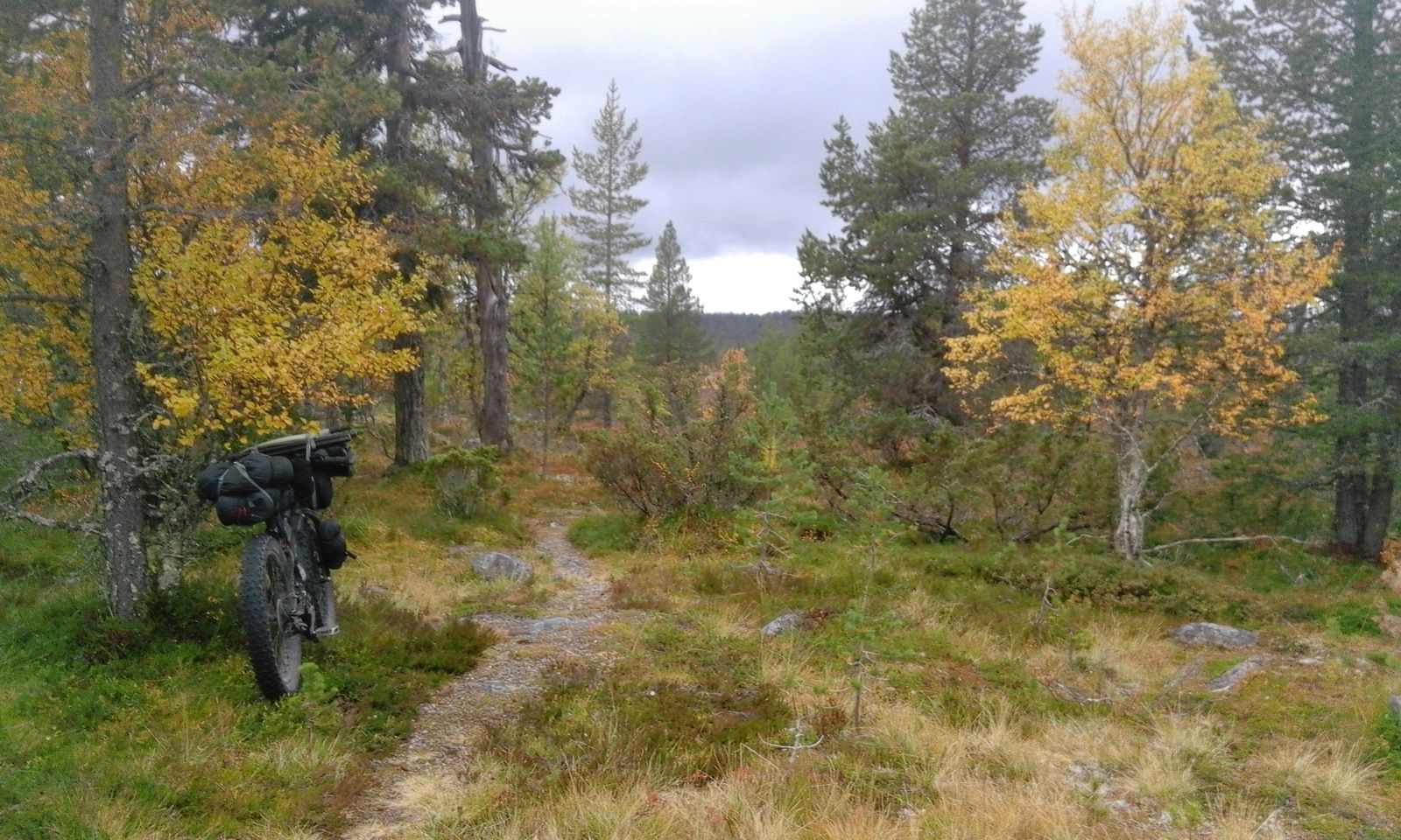 20170912_130924.jpg