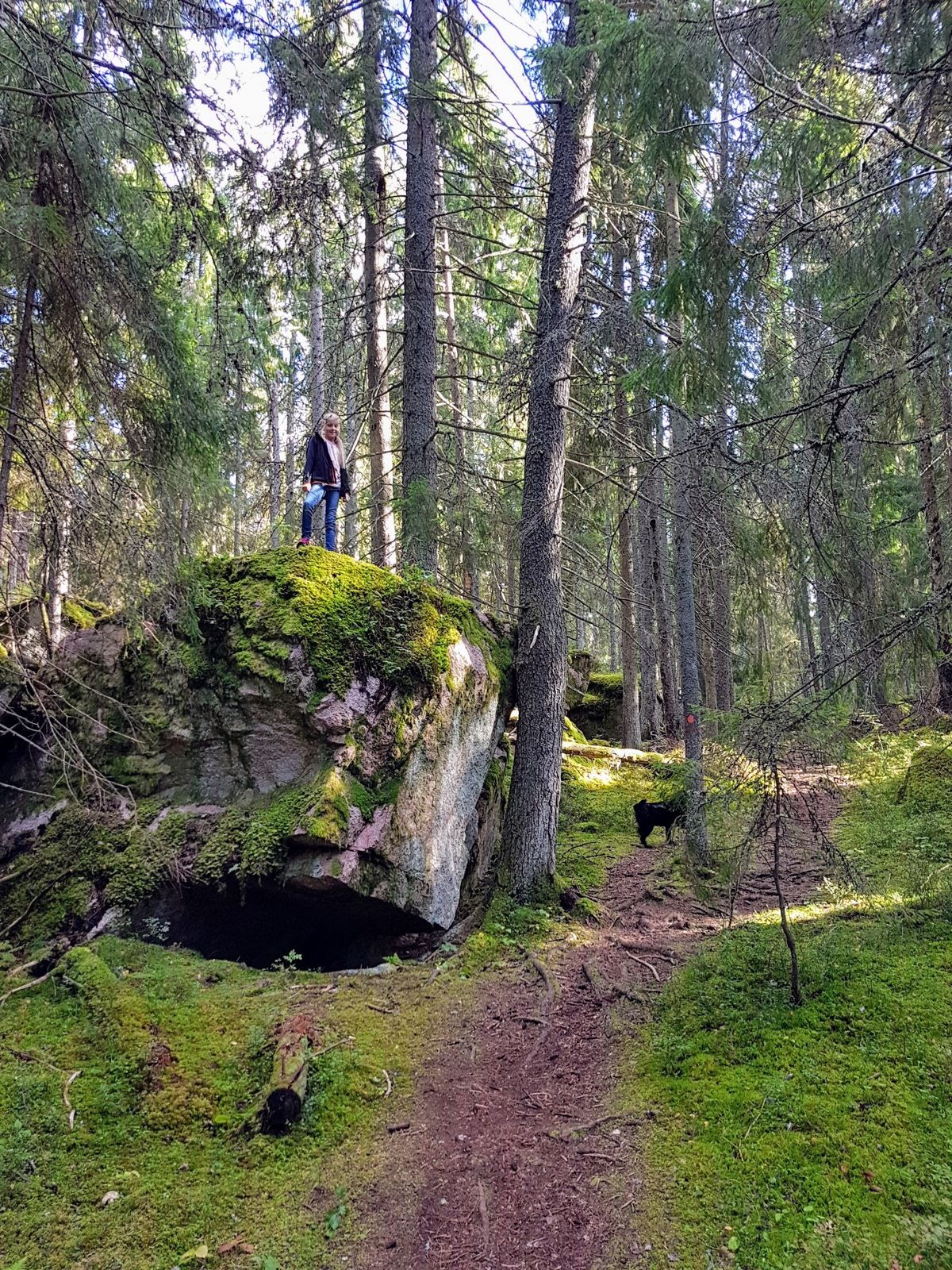 20170917_145726.jpg