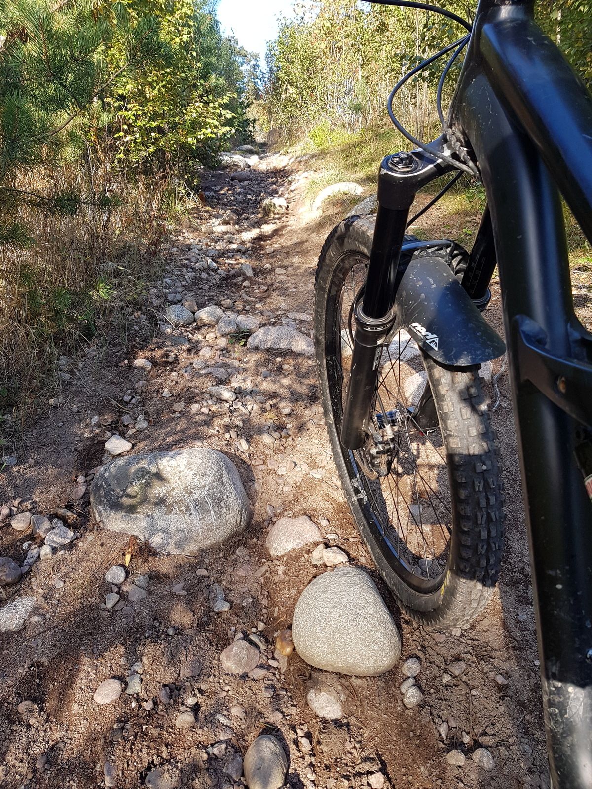 20170917_164514.jpg