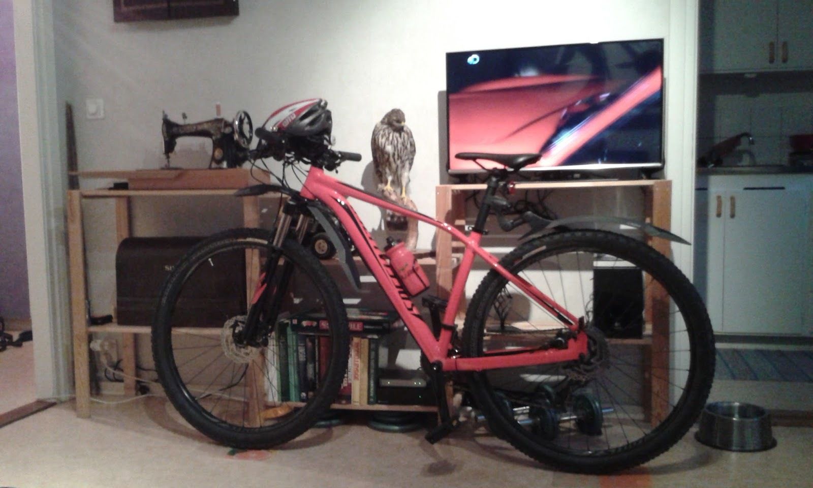 20170918_1853111.jpg