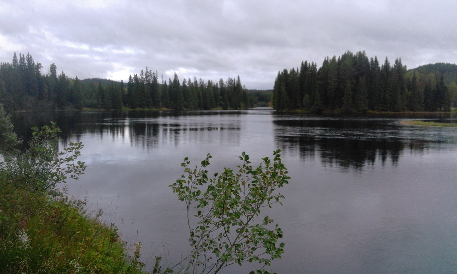 20170919_085248.jpg