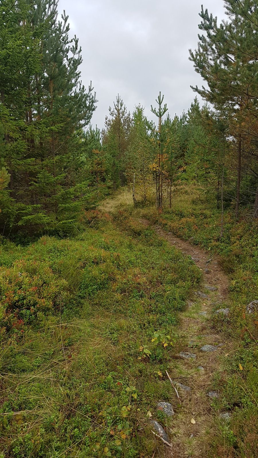 20170922_134521.jpg