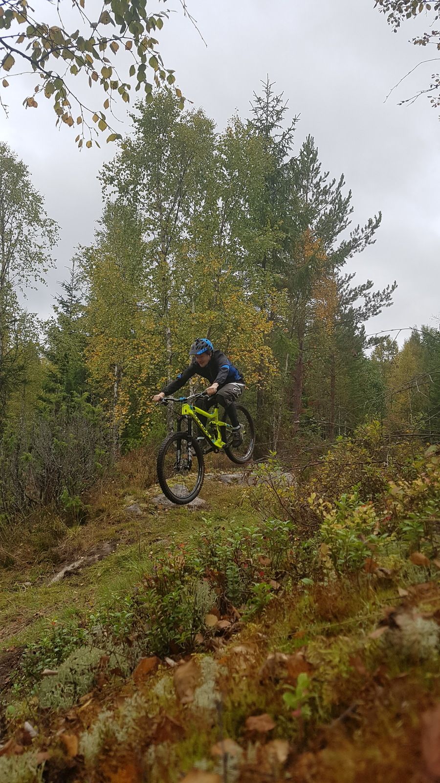 20170922_135308.jpg