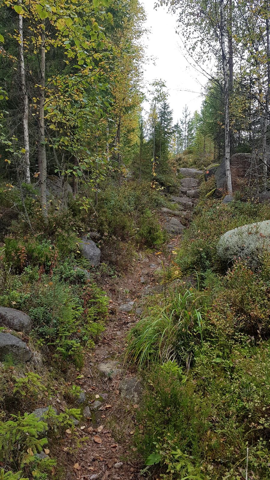 20170922_141810.jpg
