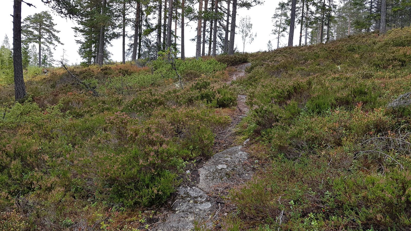 20170922_143726.jpg