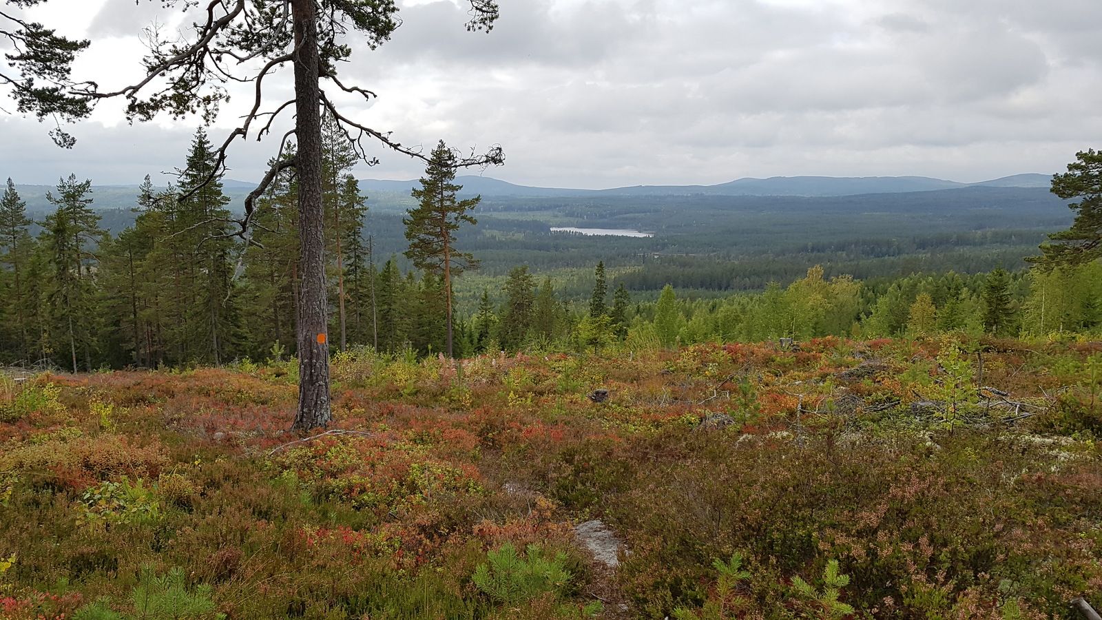20170922_143939.jpg