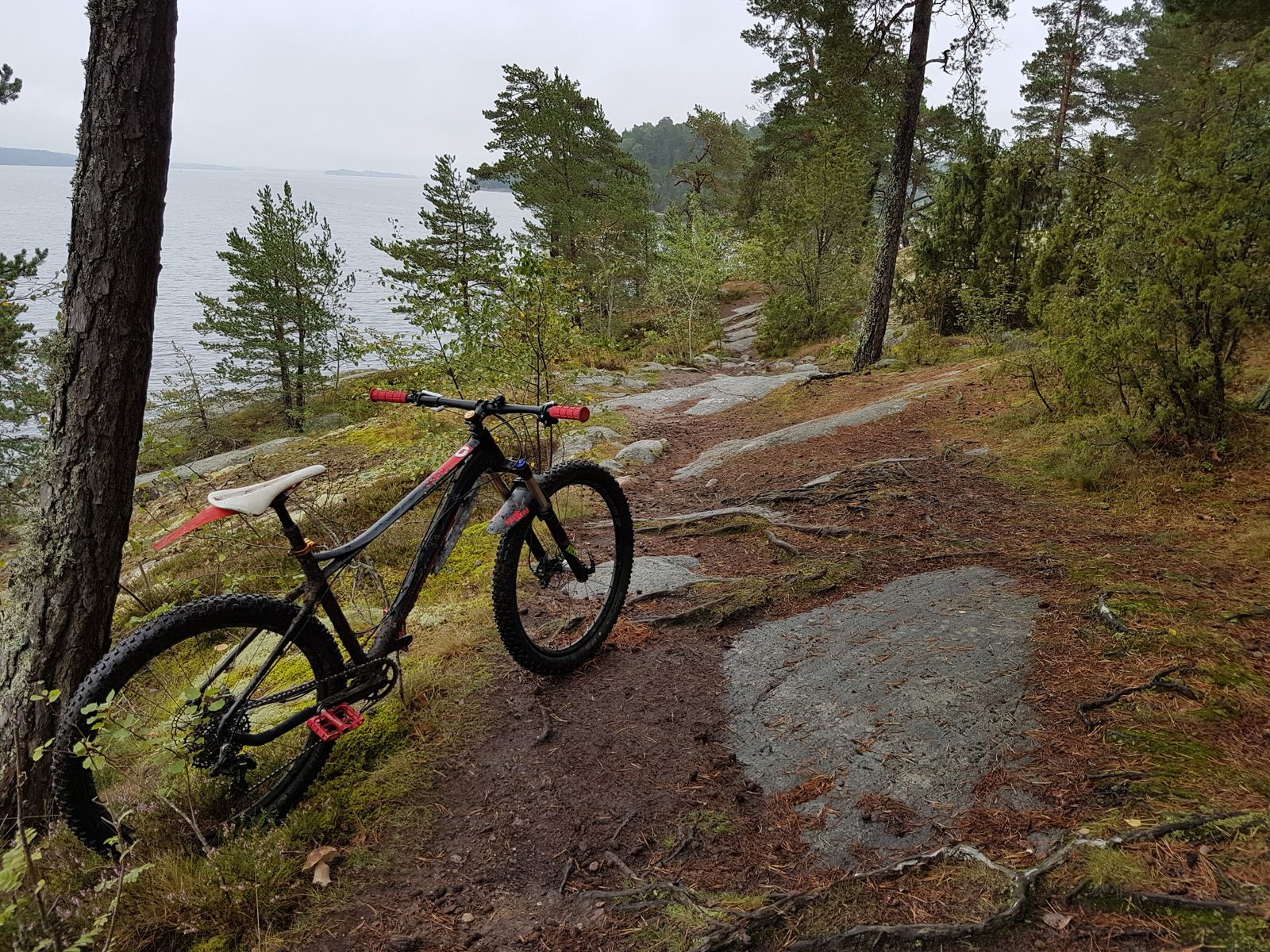 20170923_094755.jpg