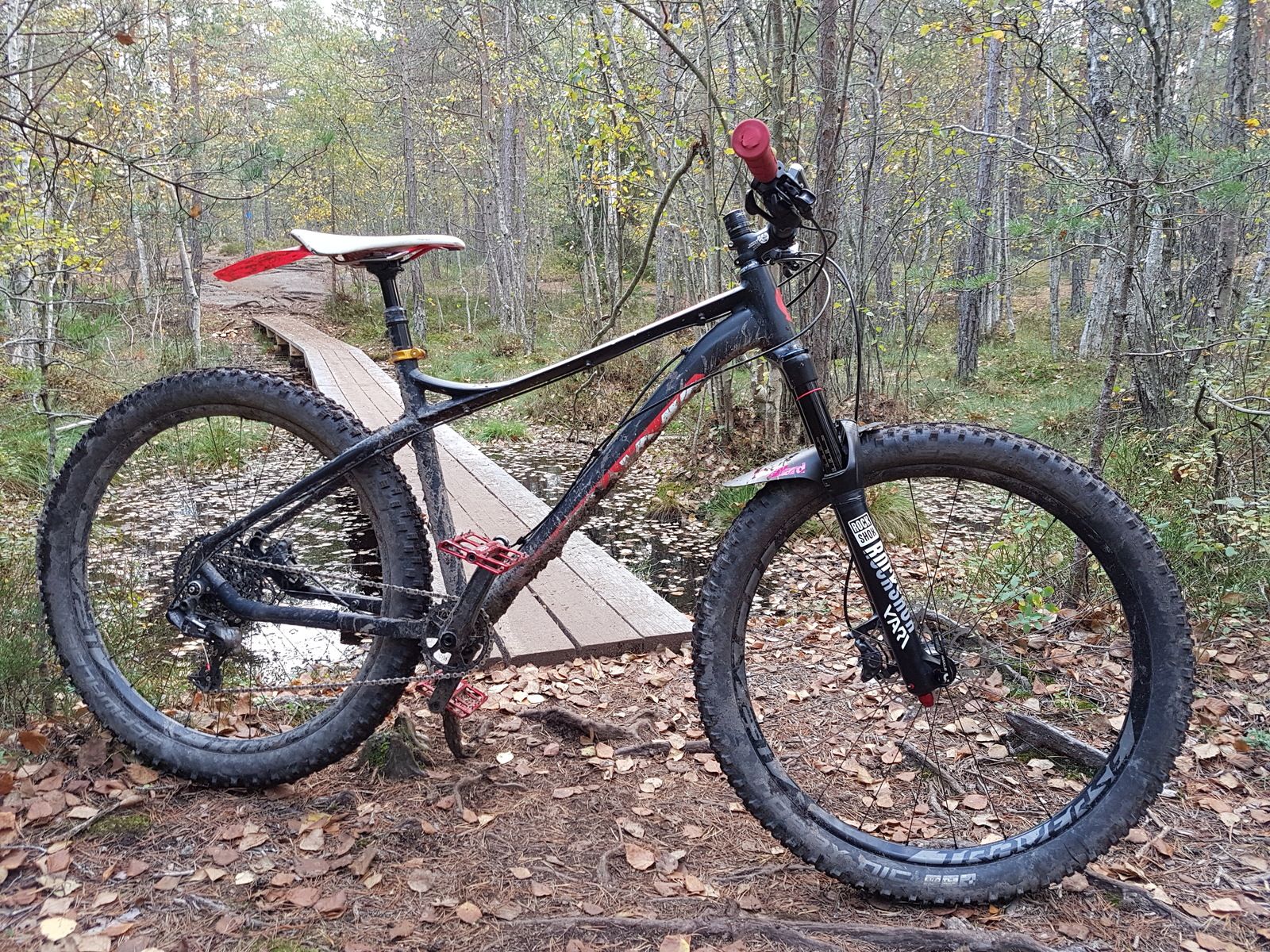 20171001_160802.jpg