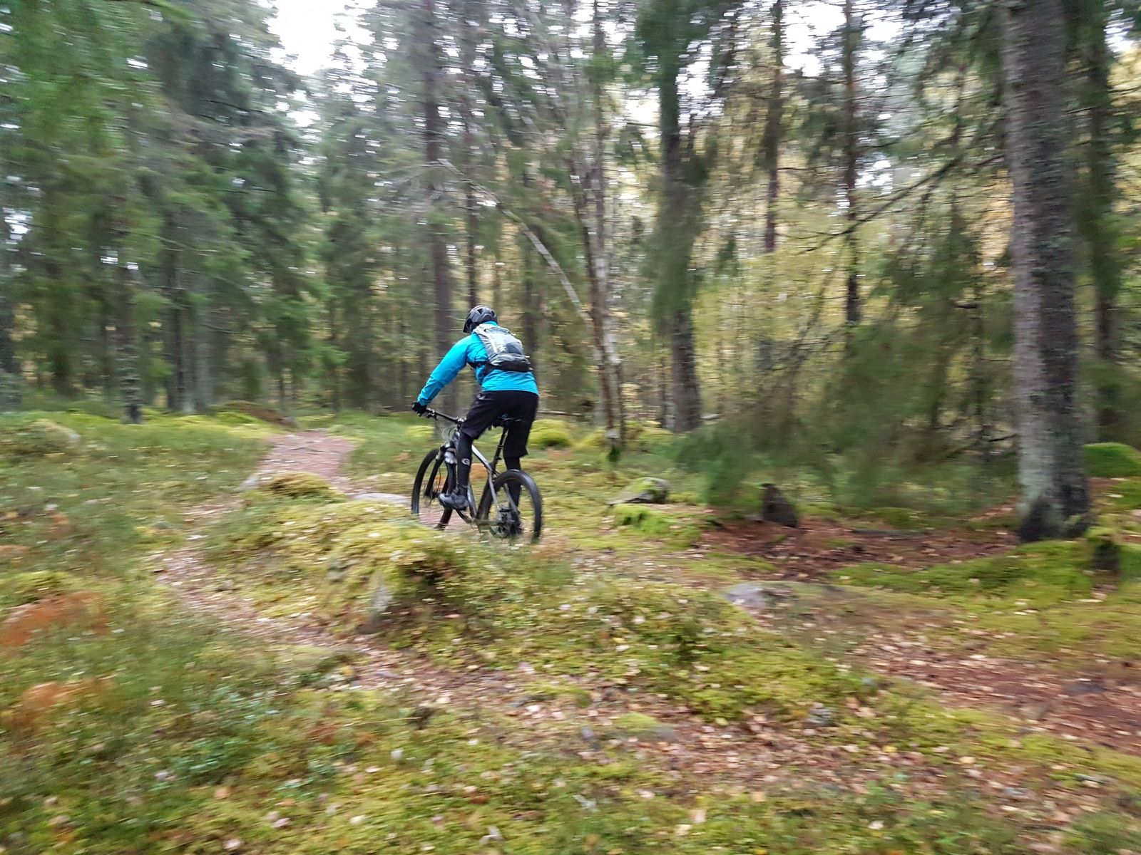 20171008_160634.jpg