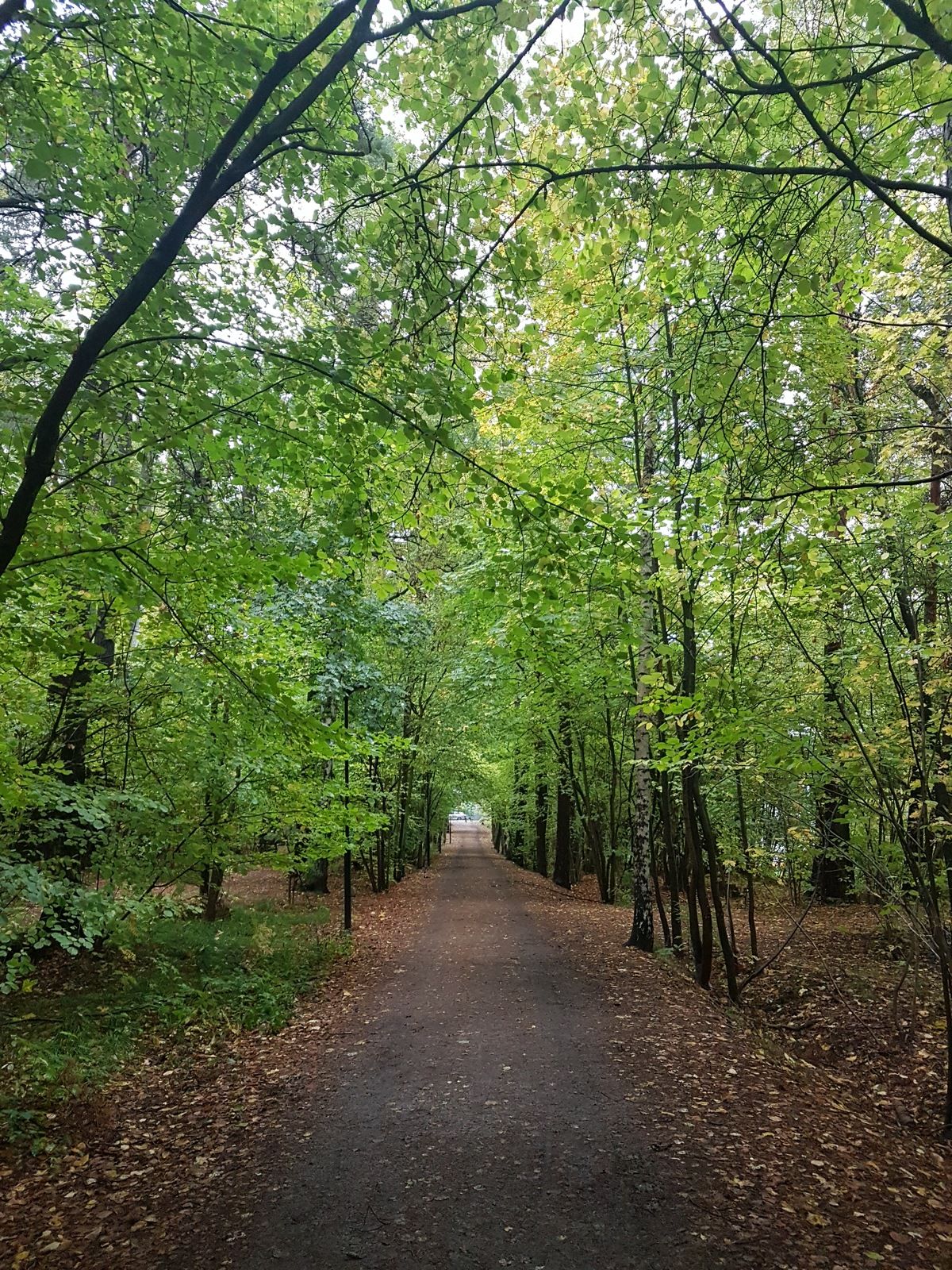 20171009_170458.jpg