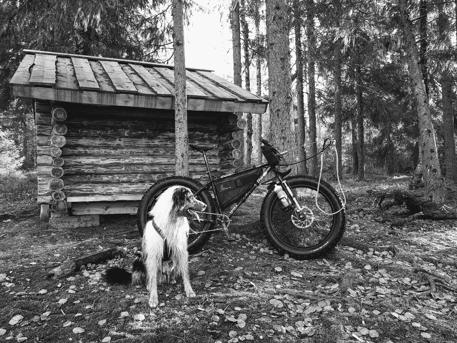 20171017_095548.jpg