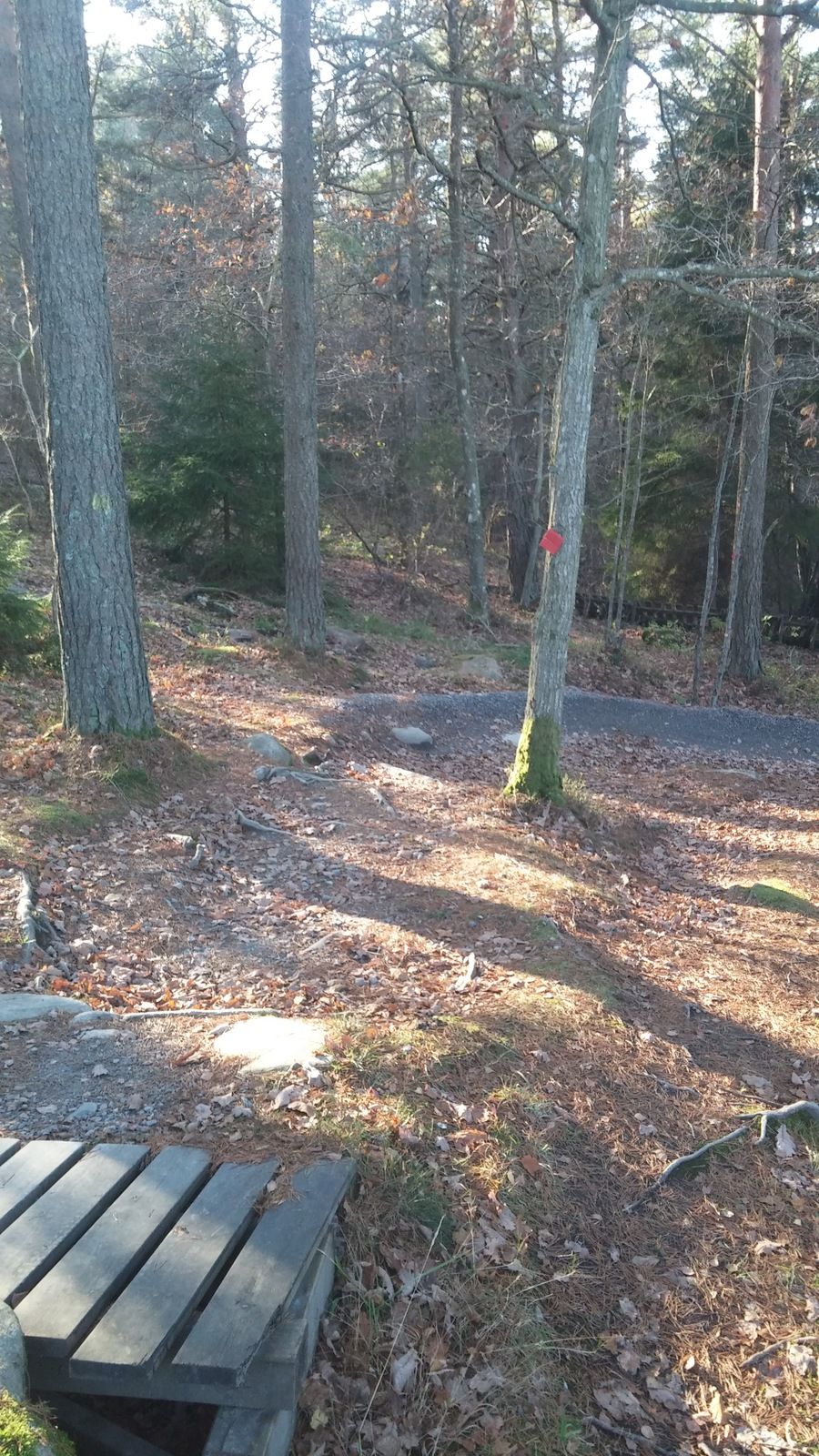 20171028_111548.jpg