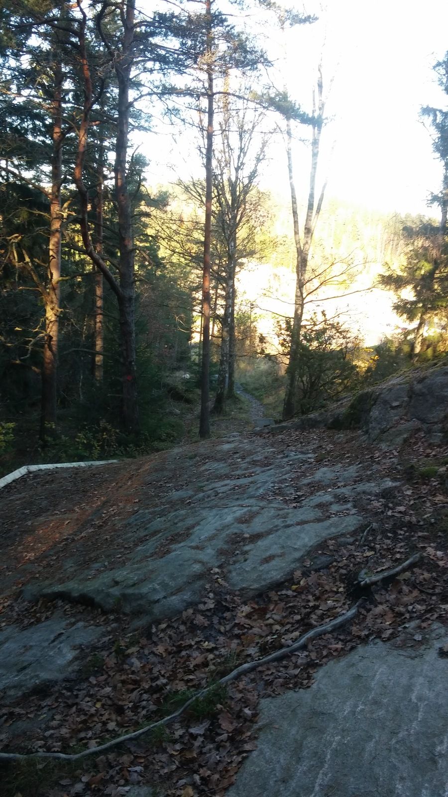 20171028_111611.jpg