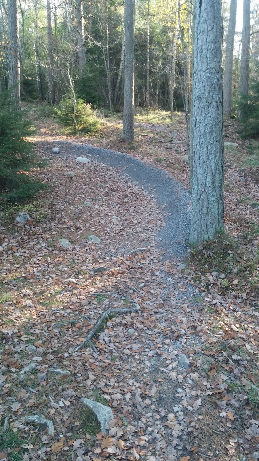 20171028_111617.jpg
