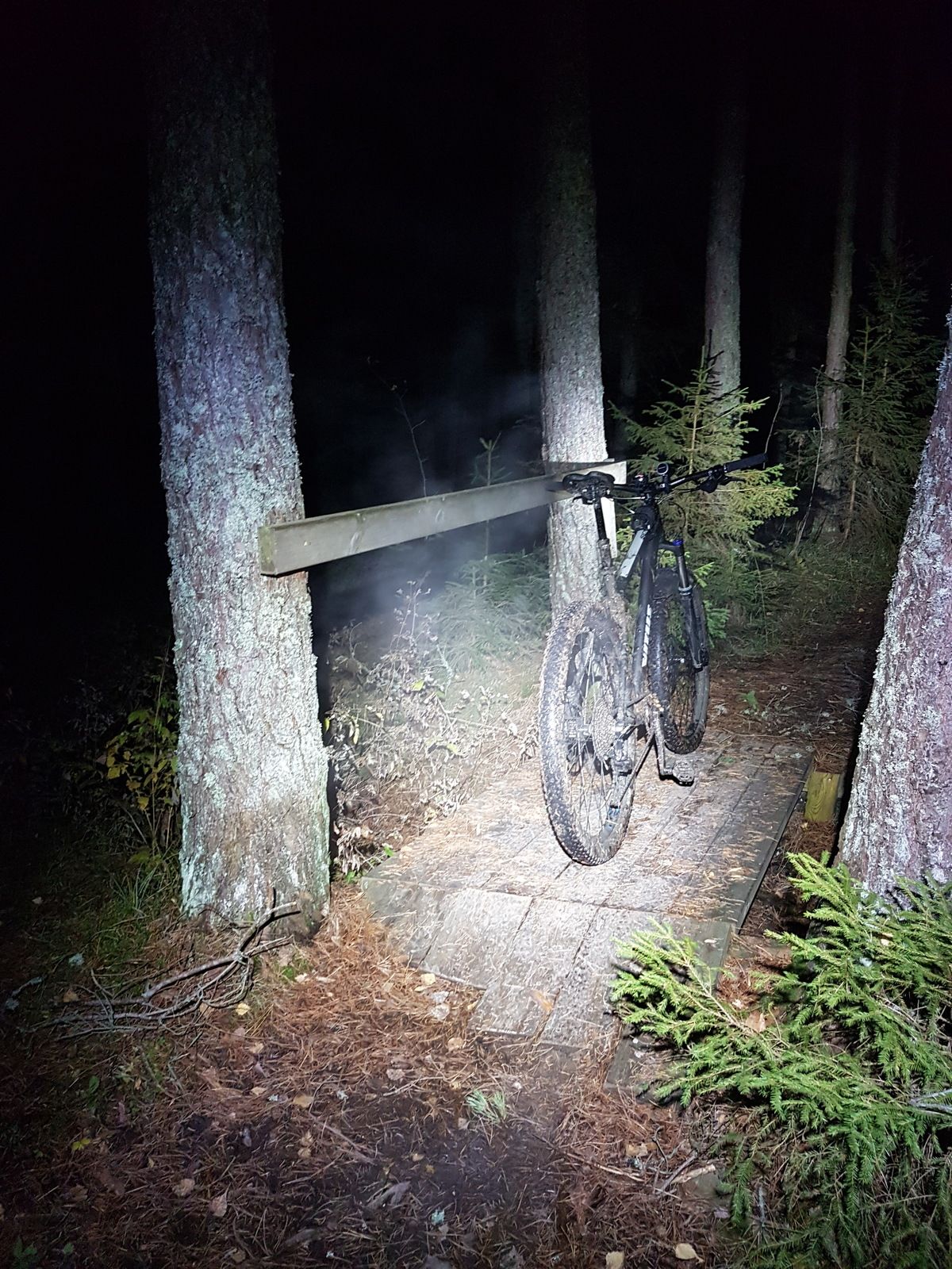 20171031_213110.jpg