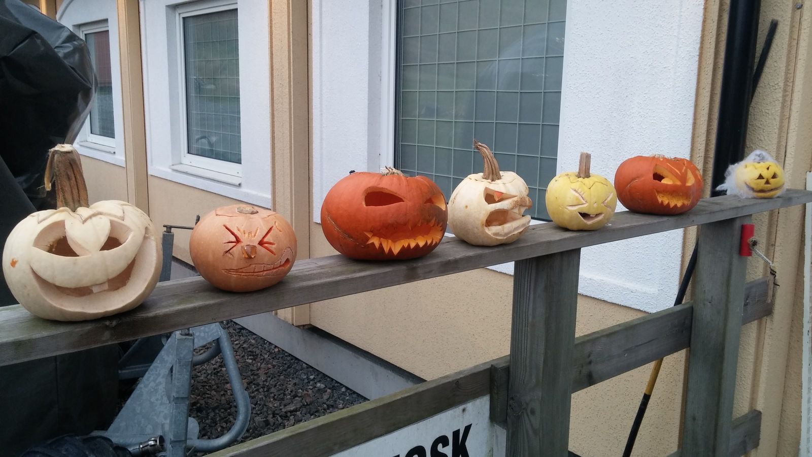 20171104_153206.jpg